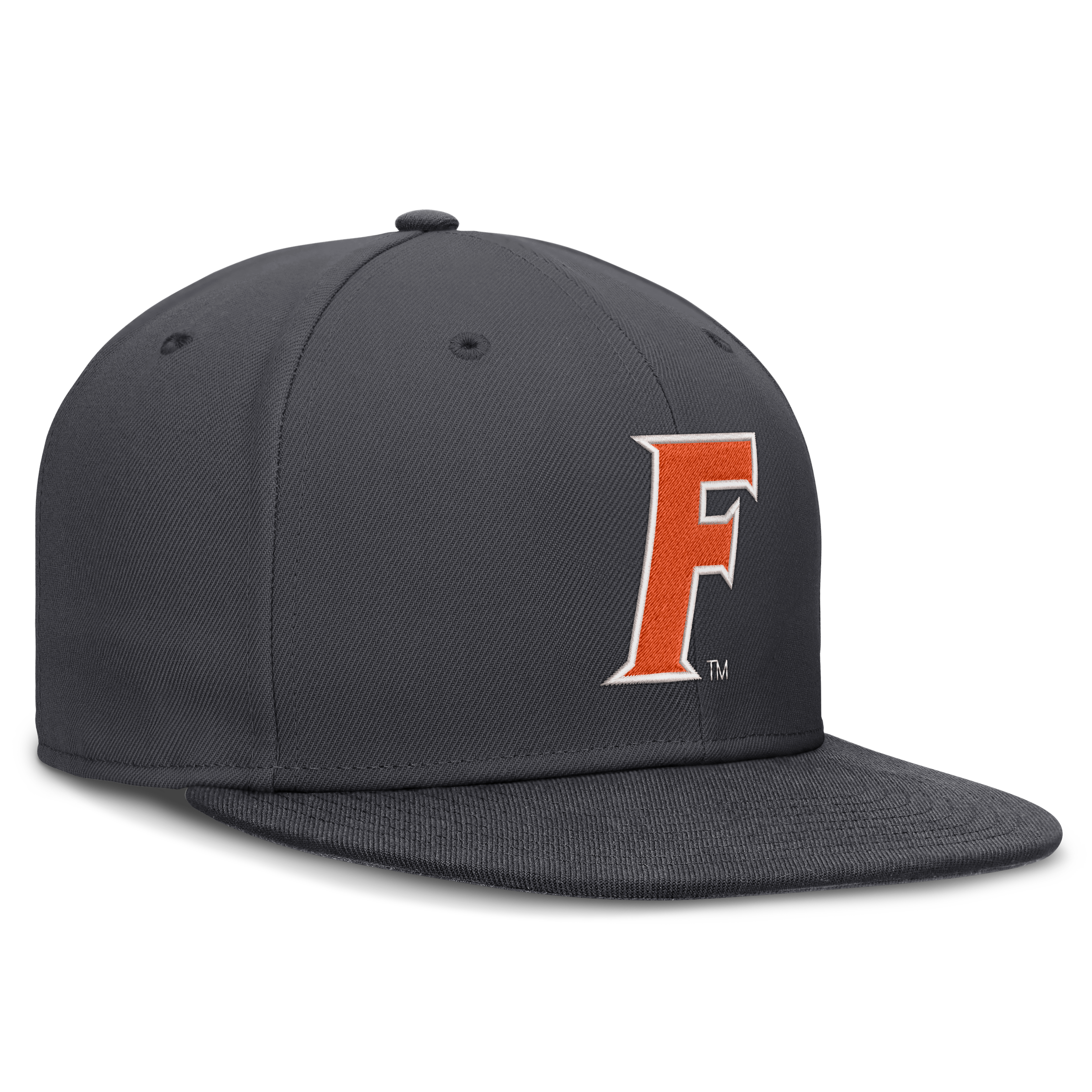 Men's Jordan Brand Anthracite Florida Gators Pro Dri-FIT Fitted Hat