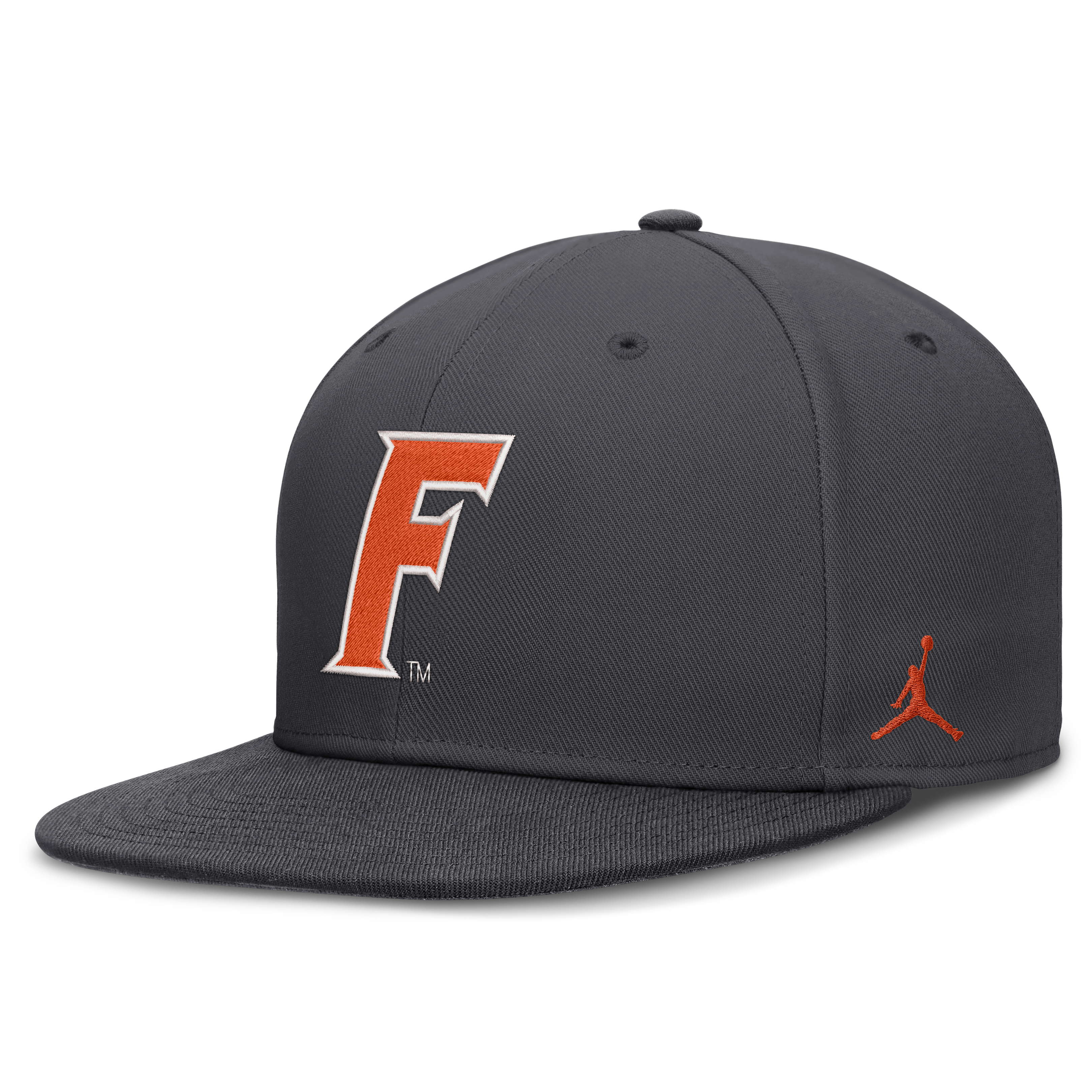 Men's Jordan Brand Anthracite Florida Gators Pro Dri-FIT Fitted Hat