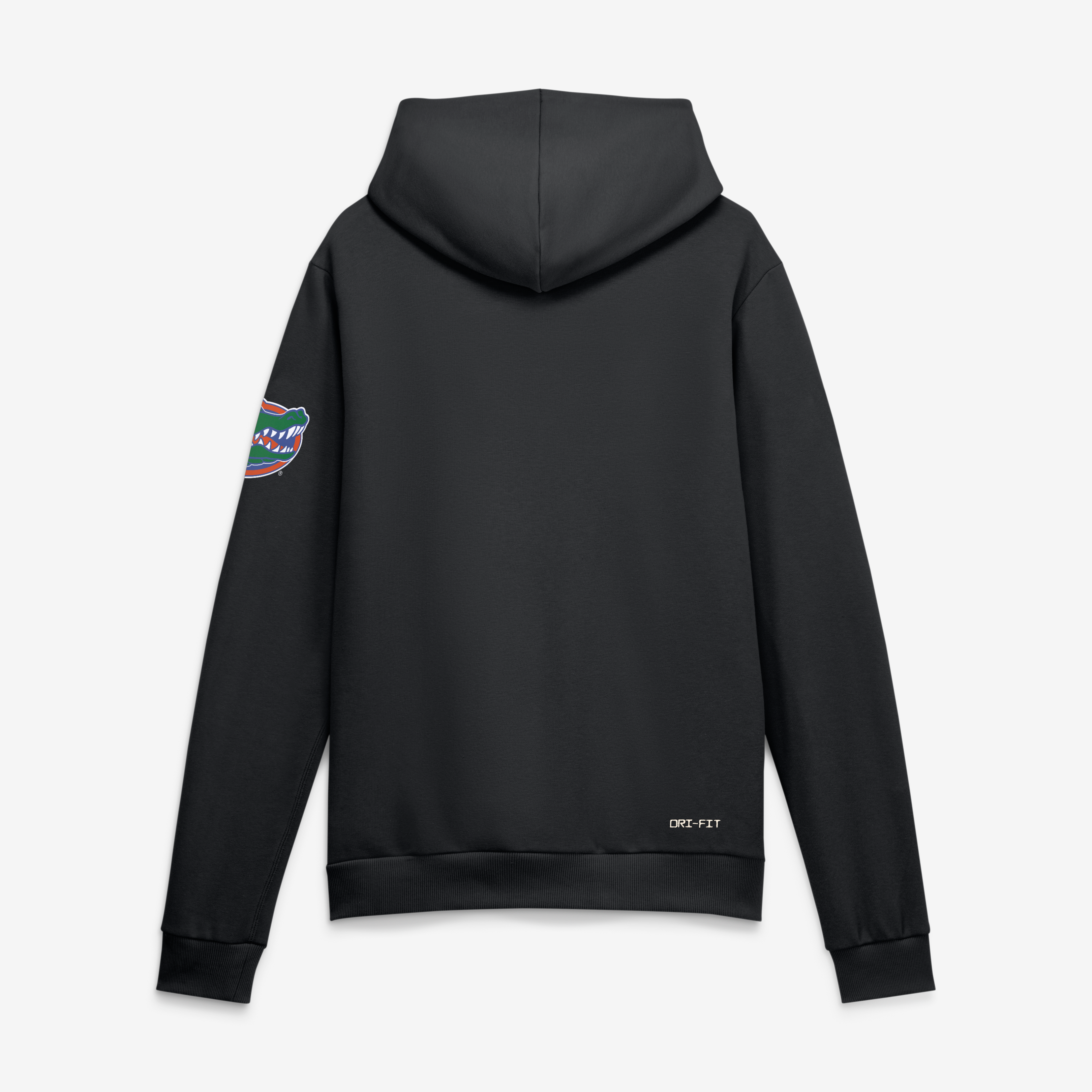 Sweat à capuche Jordan Brand Royal Florida Gators 2026 Sideline Standard Issue Dri-FIT pour homme
