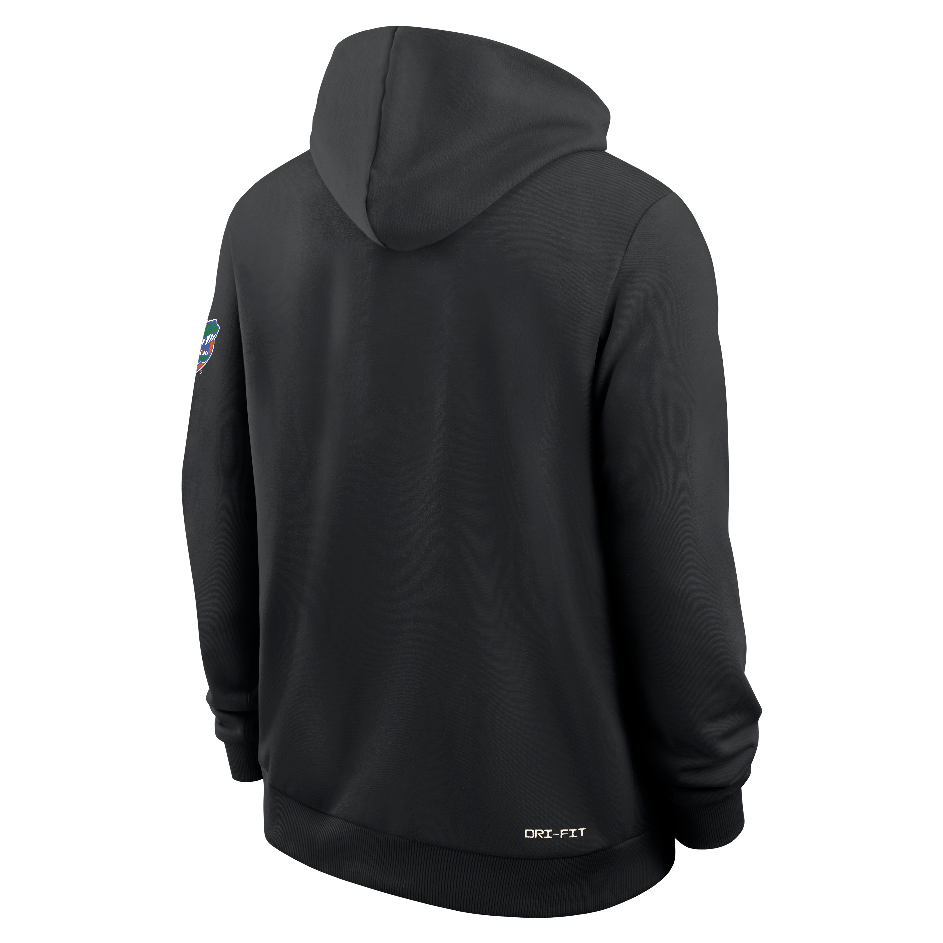 Sweat à capuche Jordan Brand Royal Florida Gators 2026 Sideline Standard Issue Dri-FIT pour homme