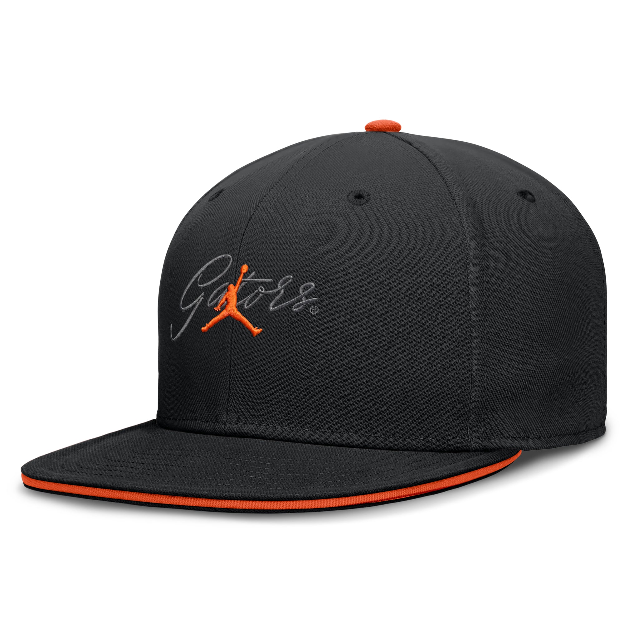 Casquette ajustée Jordan Brand noire Florida Gators Dri-FIT Primetime Script pour homme