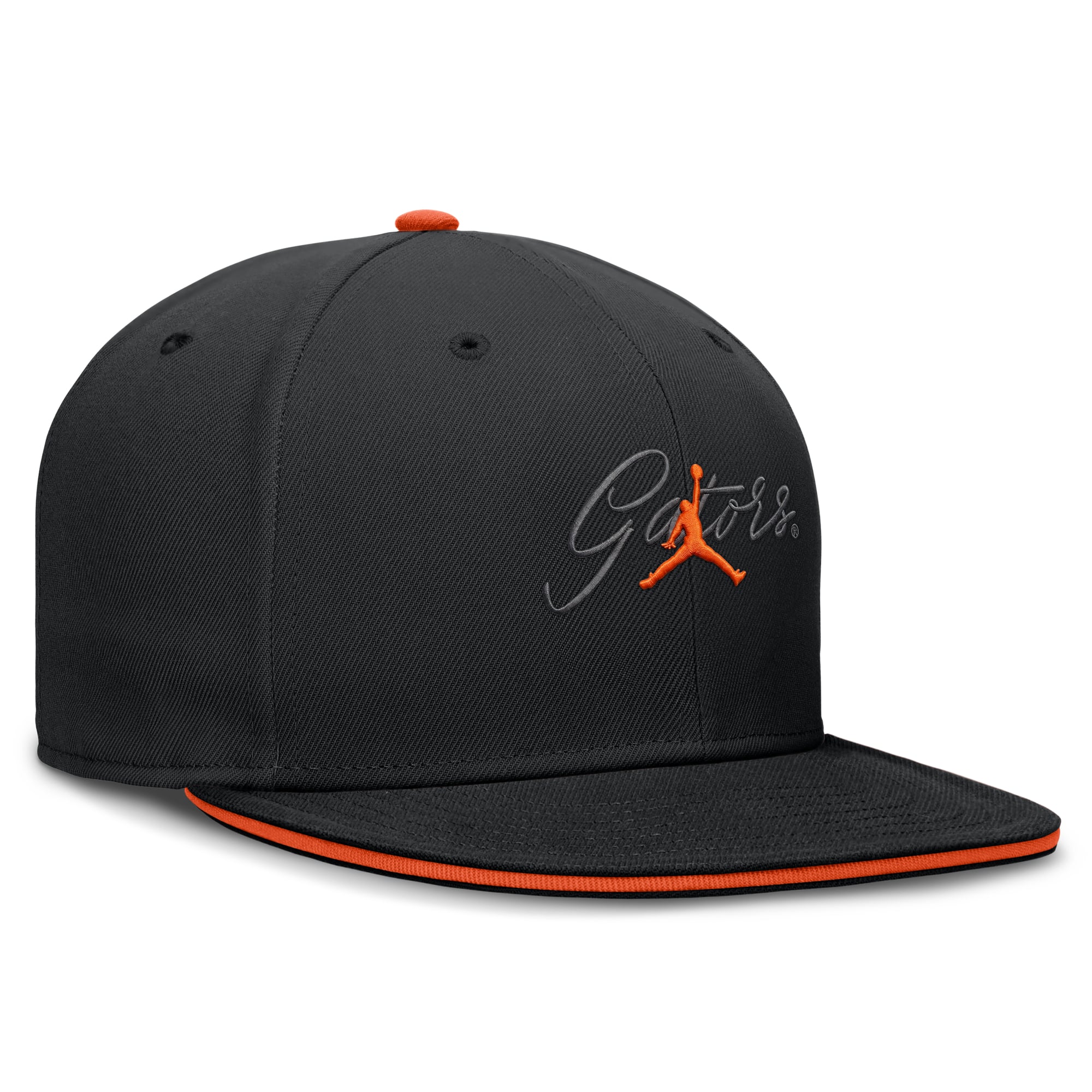 Casquette ajustée Jordan Brand noire Florida Gators Dri-FIT Primetime Script pour homme