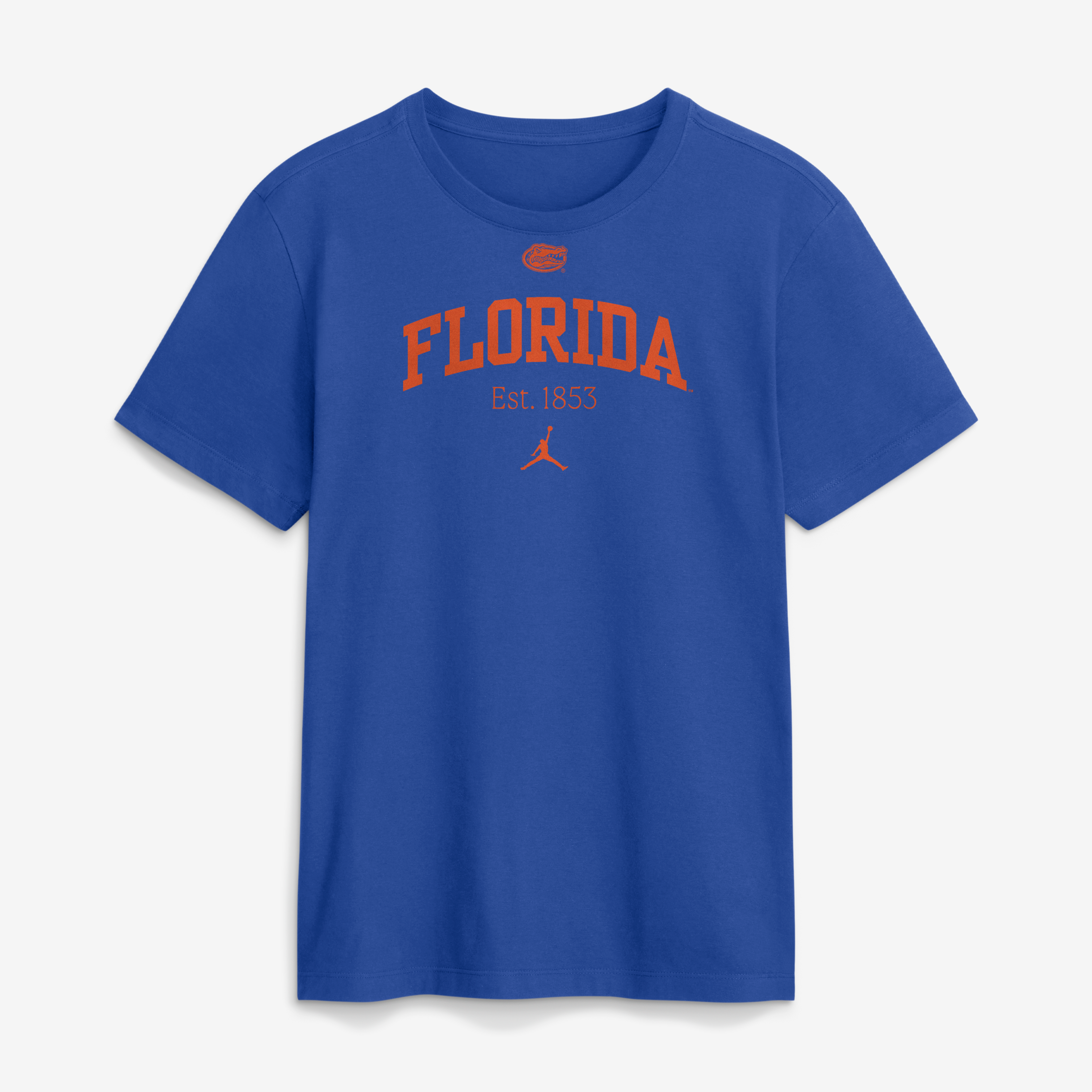 Men's Jordan Brand Royal Florida Gators Academic Arch T-Shirt