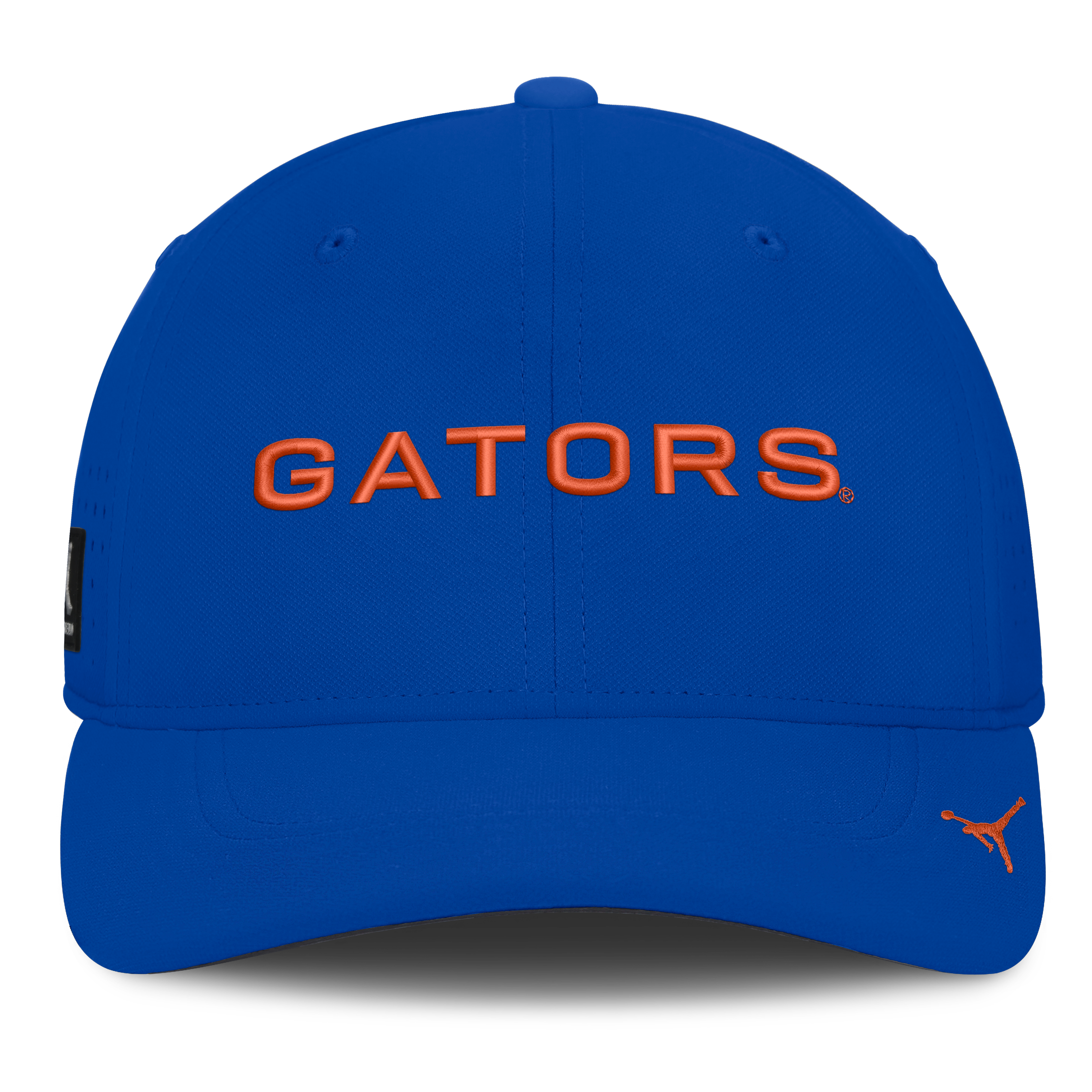 Casquette Jordan Brand Royal Florida Gators Gameday Aerobill Swooshflex Dri-FIT pour homme