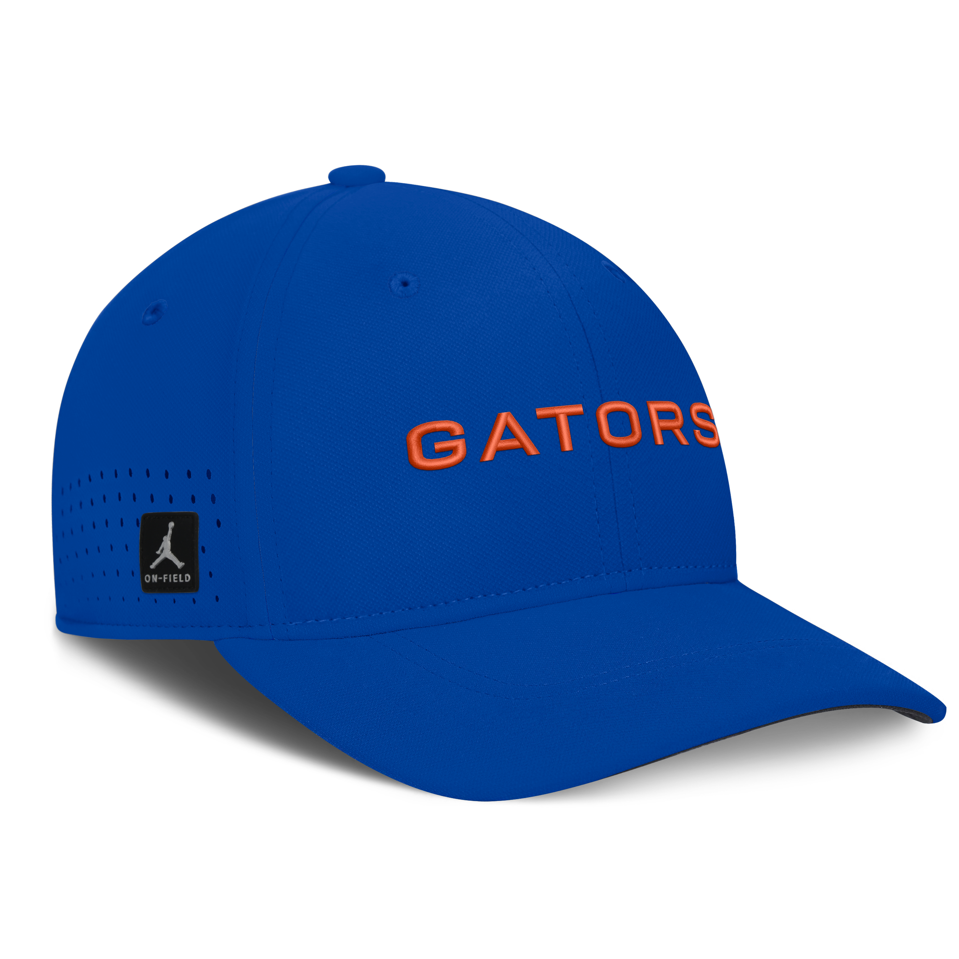 Casquette Jordan Brand Royal Florida Gators Gameday Aerobill Swooshflex Dri-FIT pour homme