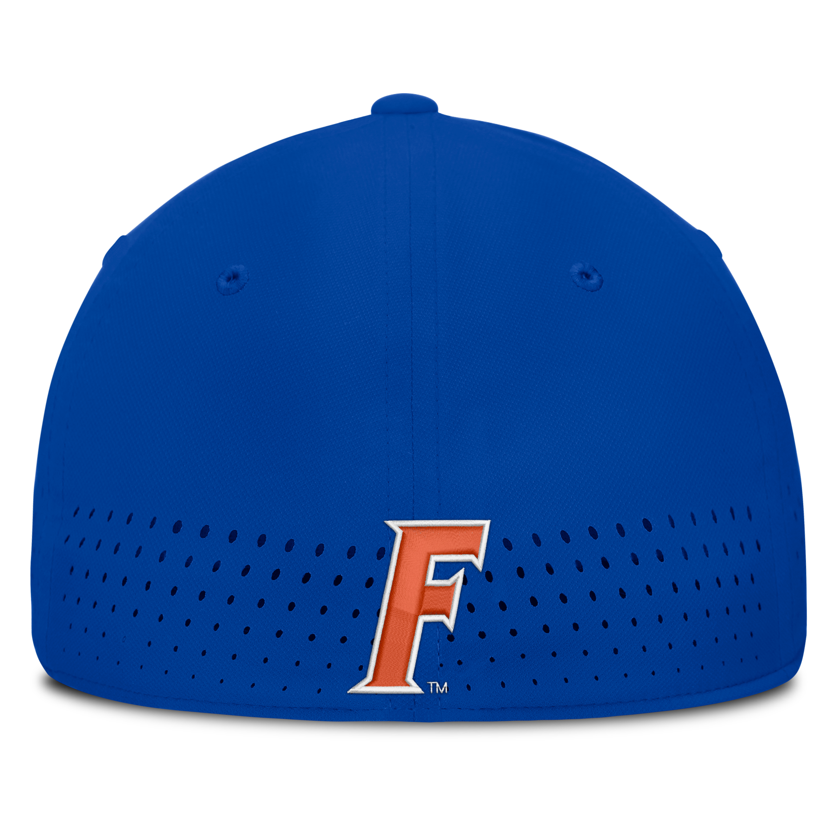 Casquette Jordan Brand Royal Florida Gators Gameday Aerobill Swooshflex Dri-FIT pour homme