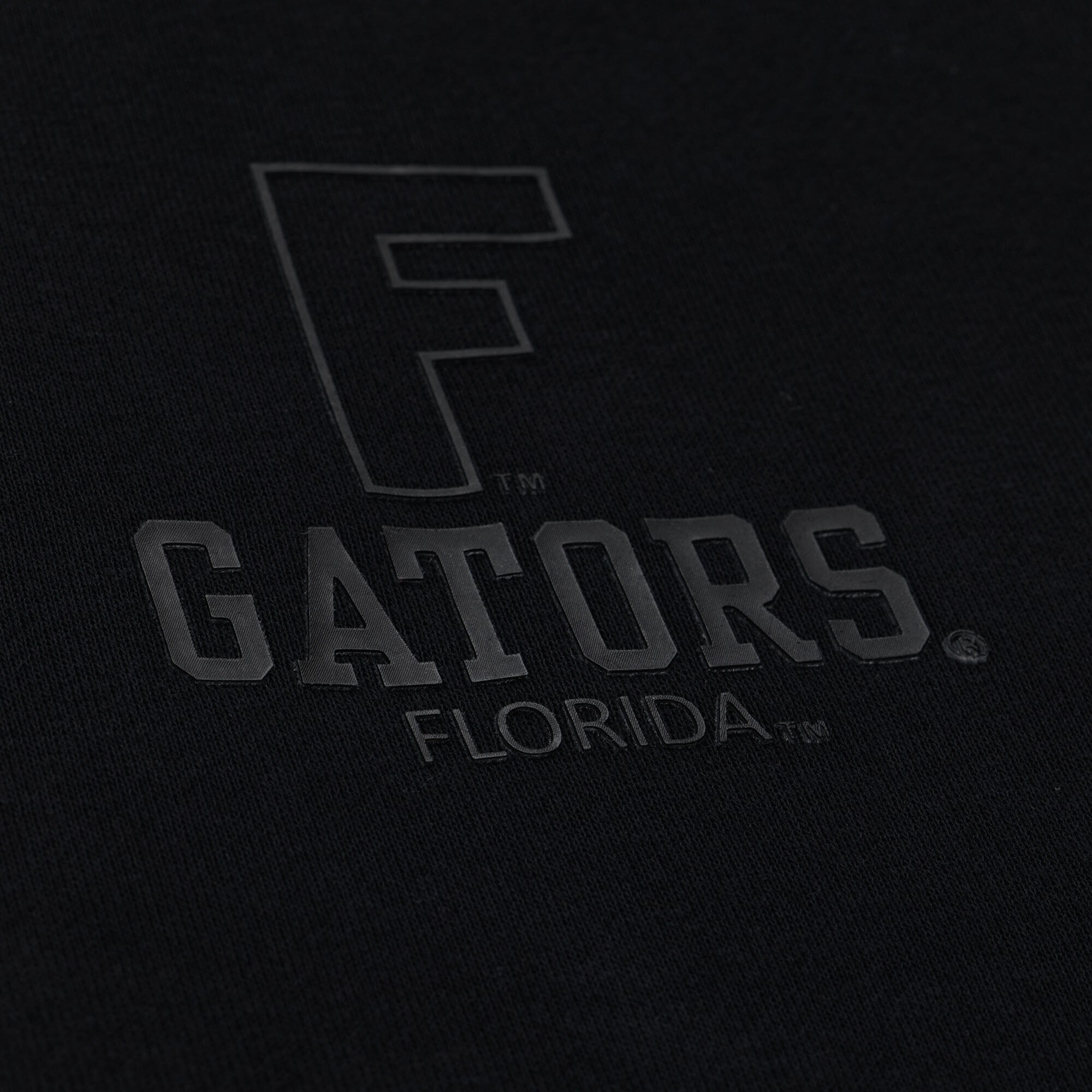 Sweat à capuche en polaire Mitchell & Ness noir Florida Gators pour homme, motif monochrome