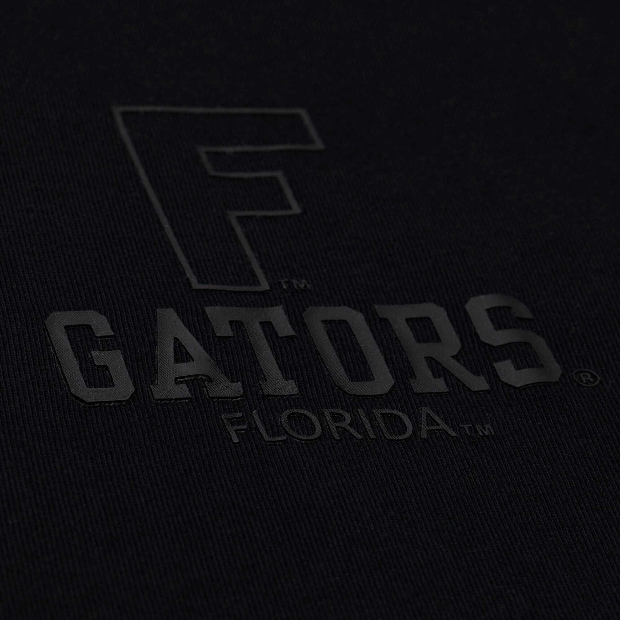 Men's Mitchell & Ness  Black Florida Gators Monochrome Icon T-Shirt