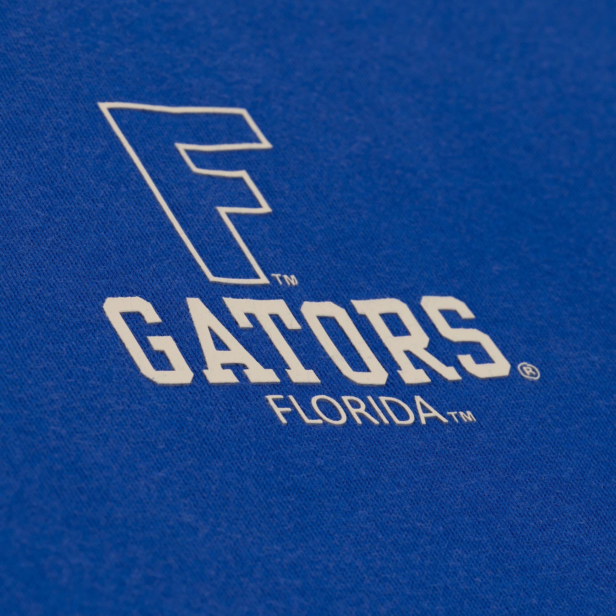 Sweat à capuche en polaire Mitchell & Ness Royal Florida Gators Core Icon pour homme