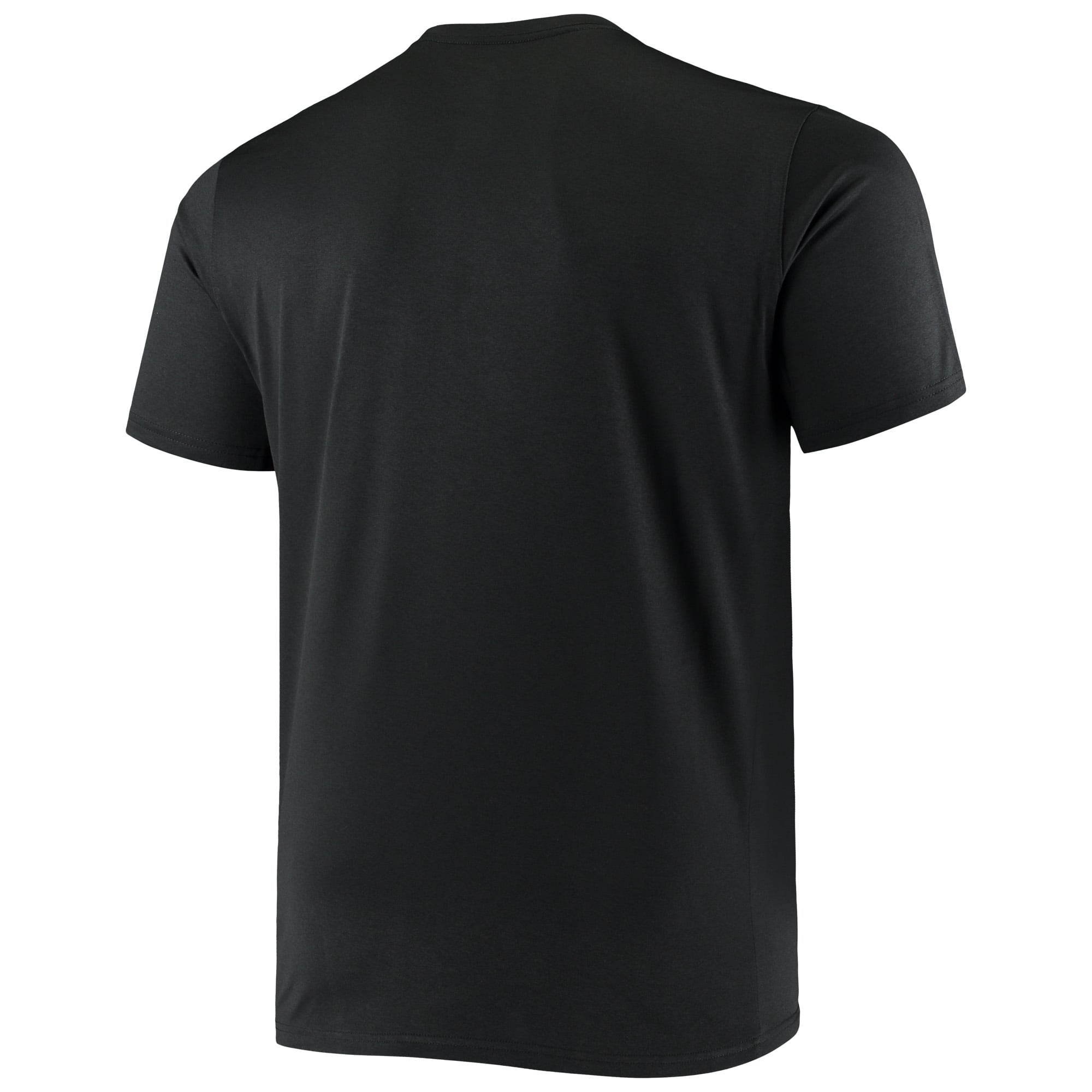 Men's Nike Black Florida Gators Big & Tall Legend Tonal