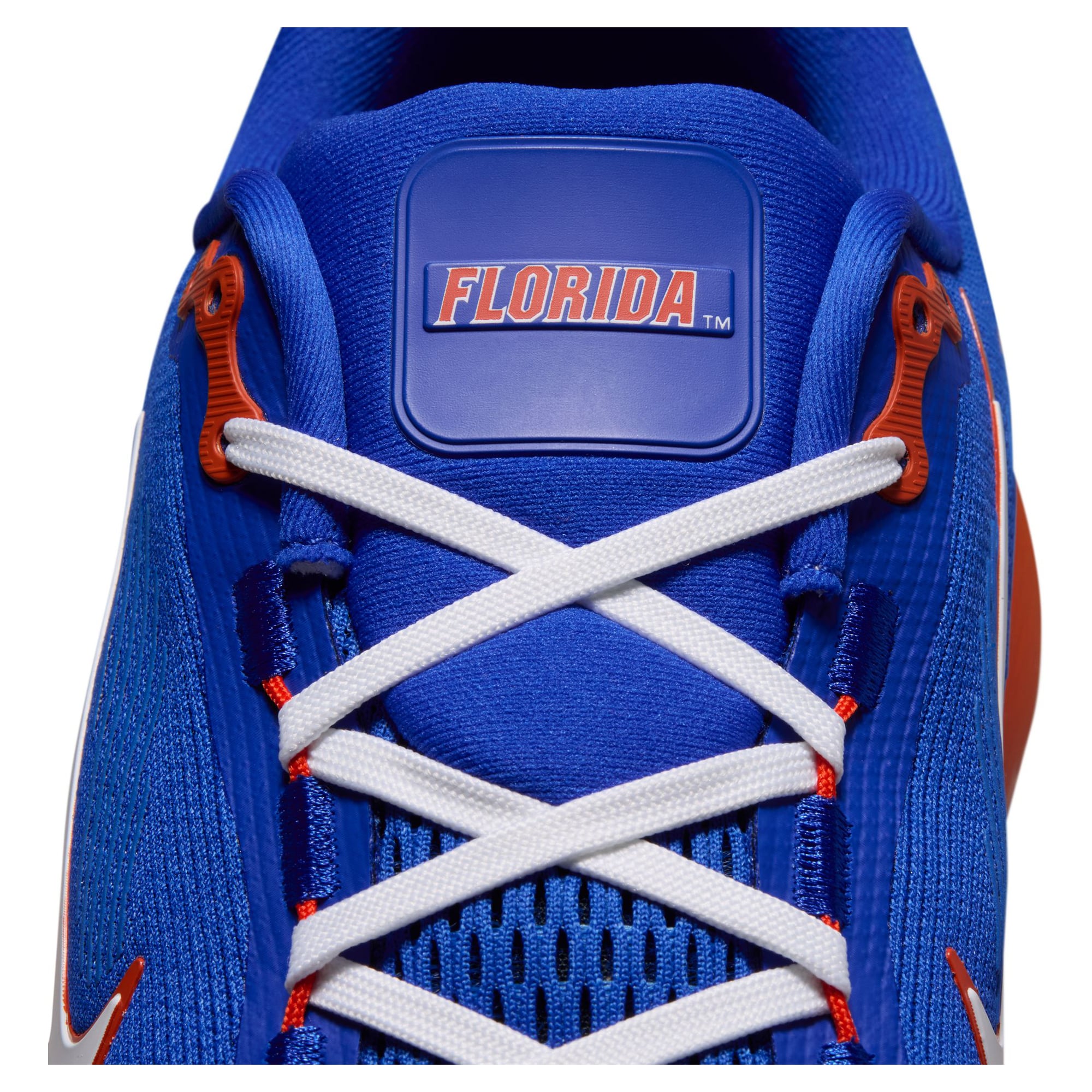 Men's Nike Florida Gators Vomero 18 Running Shoes