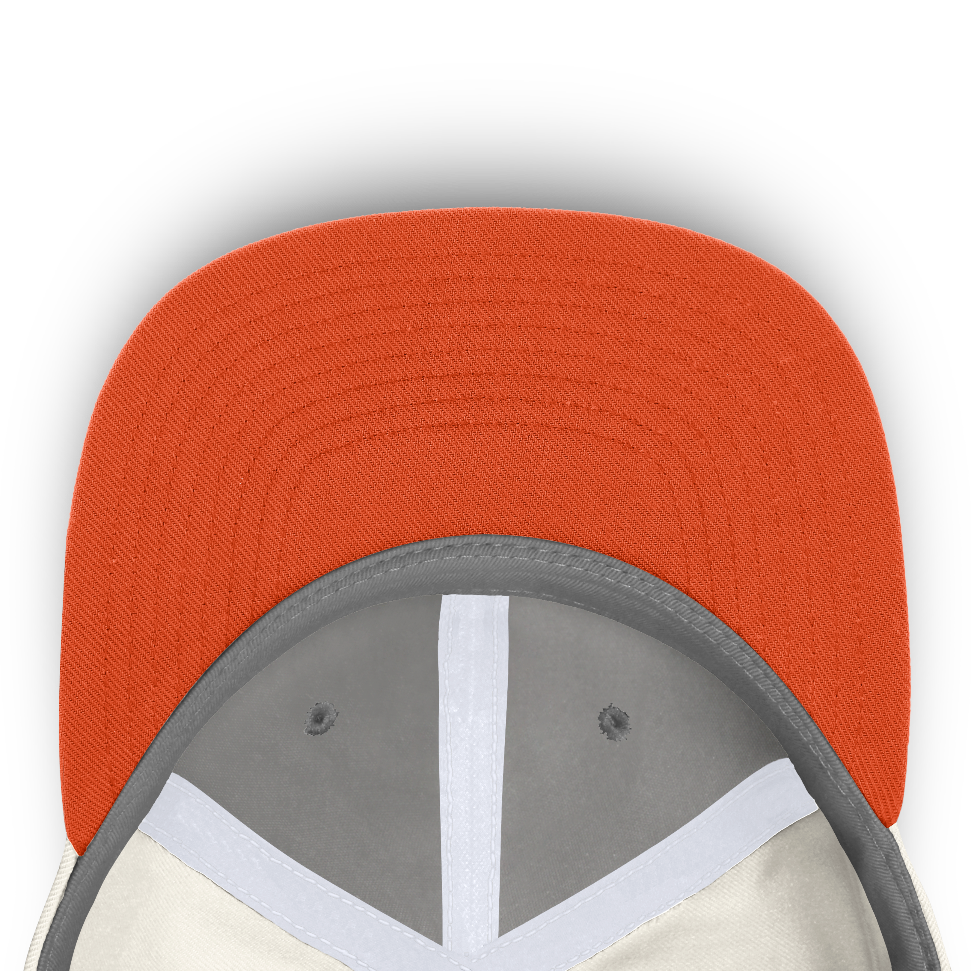 Men's Nike  White Florida Gators Legacy Letter & Mascot Pro Snapback Hat