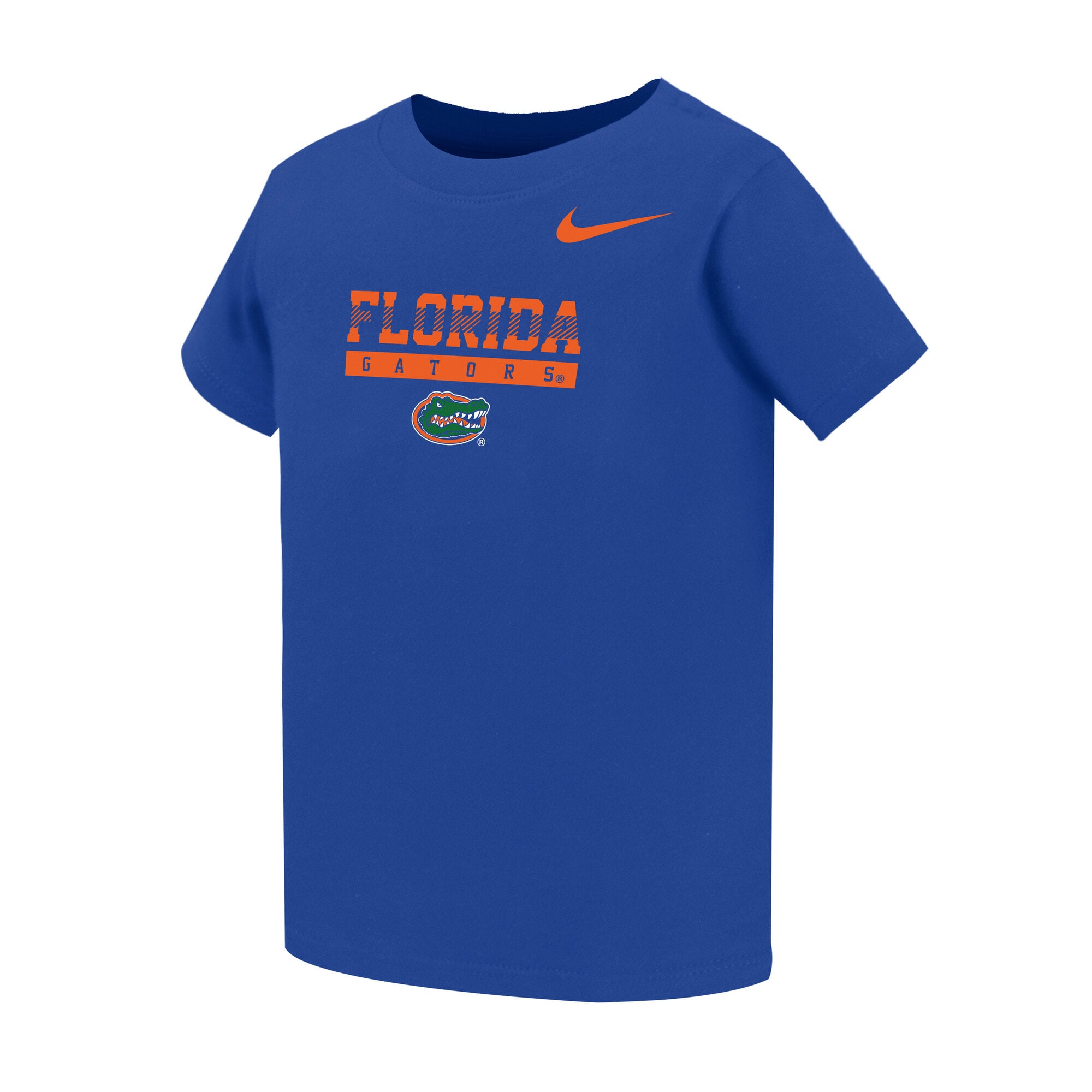 Toddler Nike Royal Florida Gators Name Bar Legend Dri-FIT T-Shirt