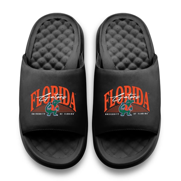 University of Florida Sandals, Florida Gators Flip Flips  display picture 3