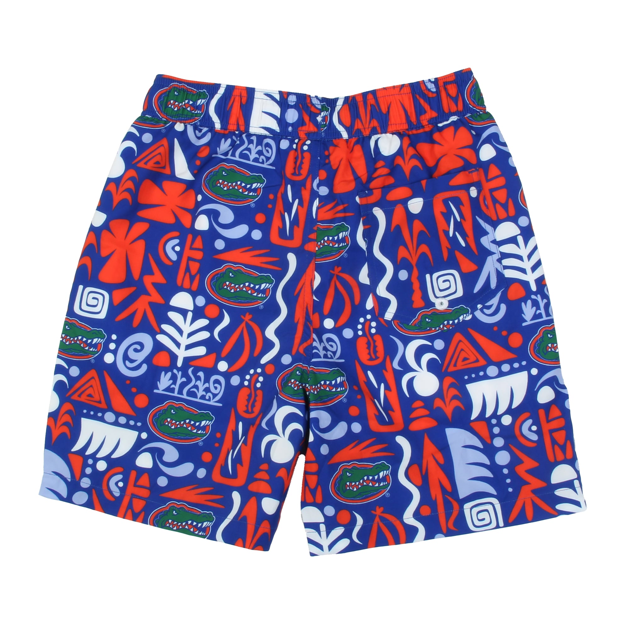 Youth Wes & Willy  Royal Florida Gators Allover Print Swim Shorts