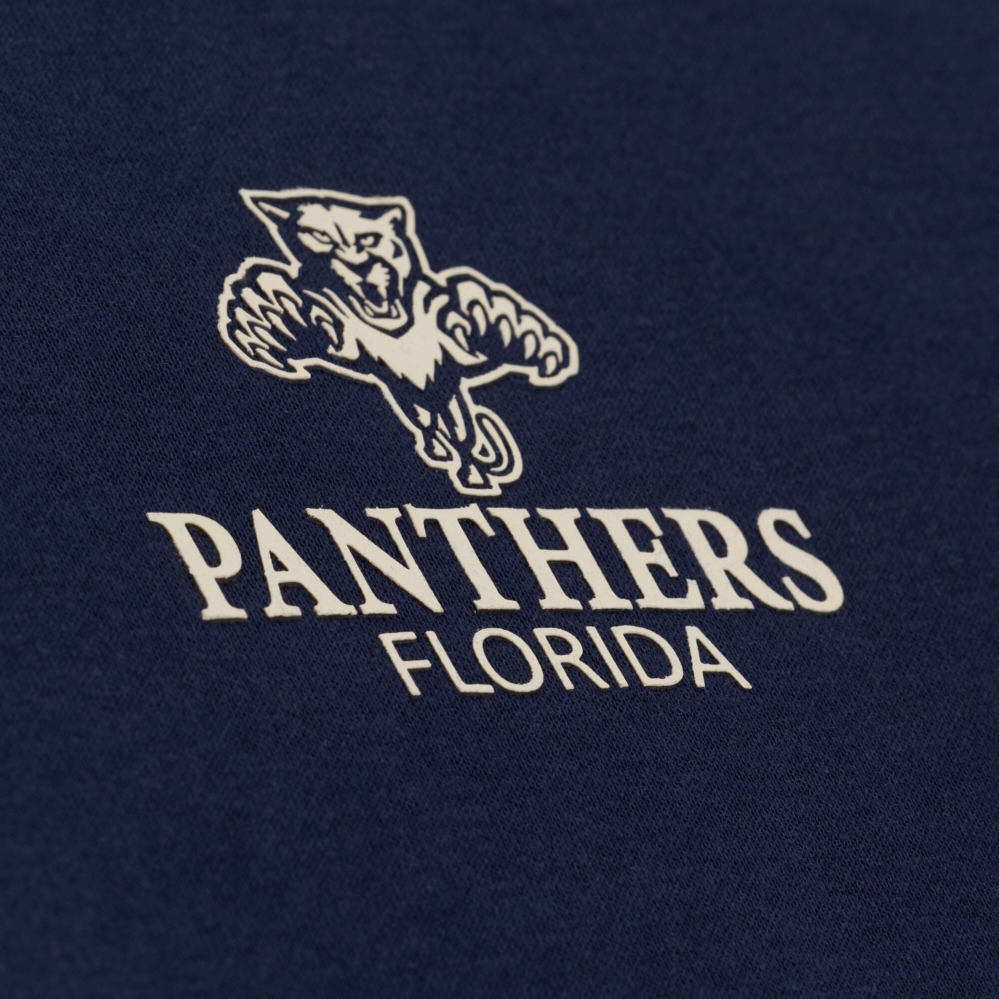 Sweat à capuche Mitchell & Ness Core Essentials bleu marine pour homme, Florida Panthers