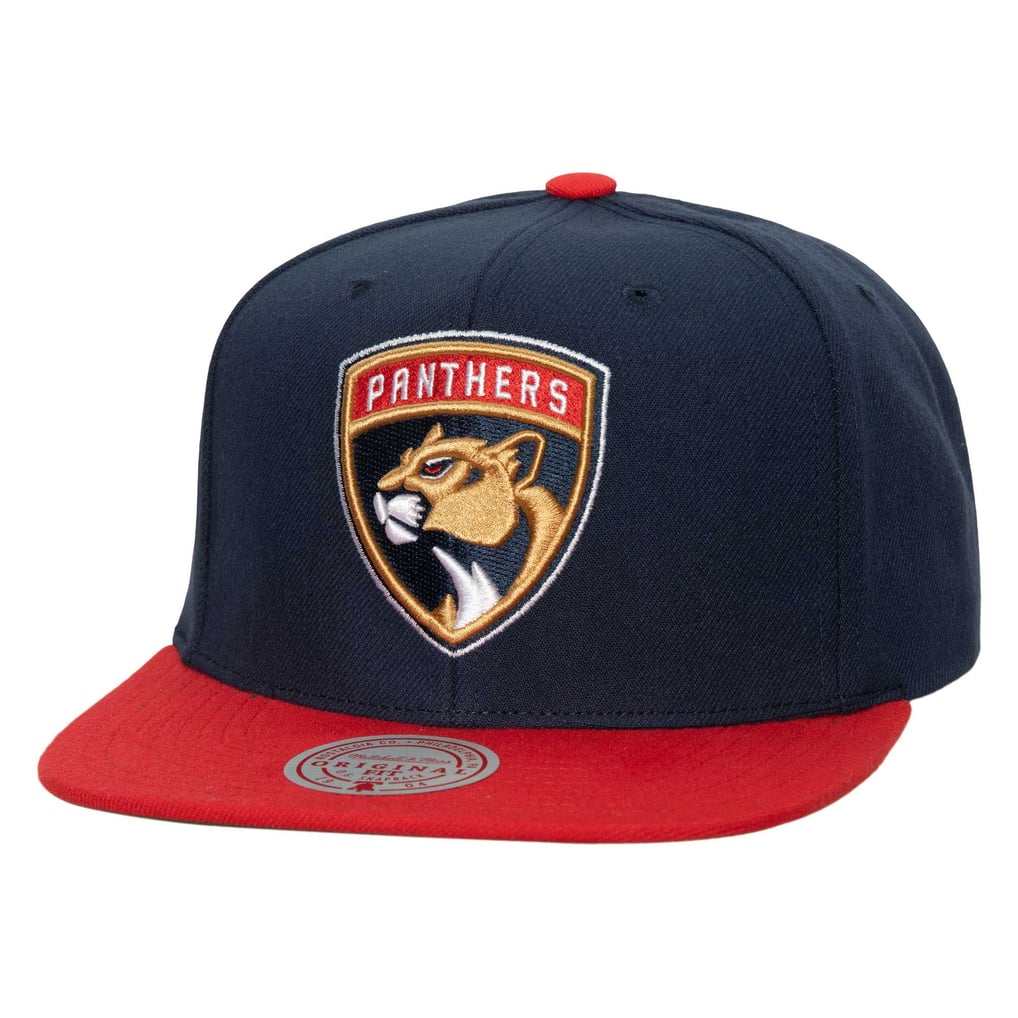 Men's Florida Panthers Mitchell & Ness Navy Core Team Ground 2.0 Snapback Hat