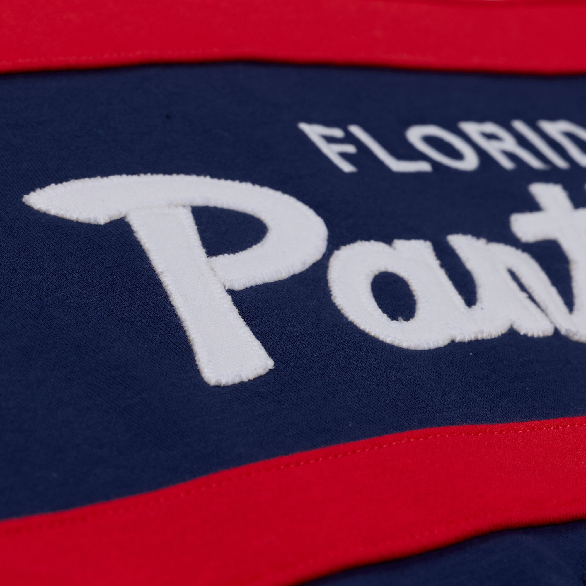 Sweat à capuche Mitchell & Ness bleu marine pour homme, modèle entraîneur-chef des Panthers de la Floride