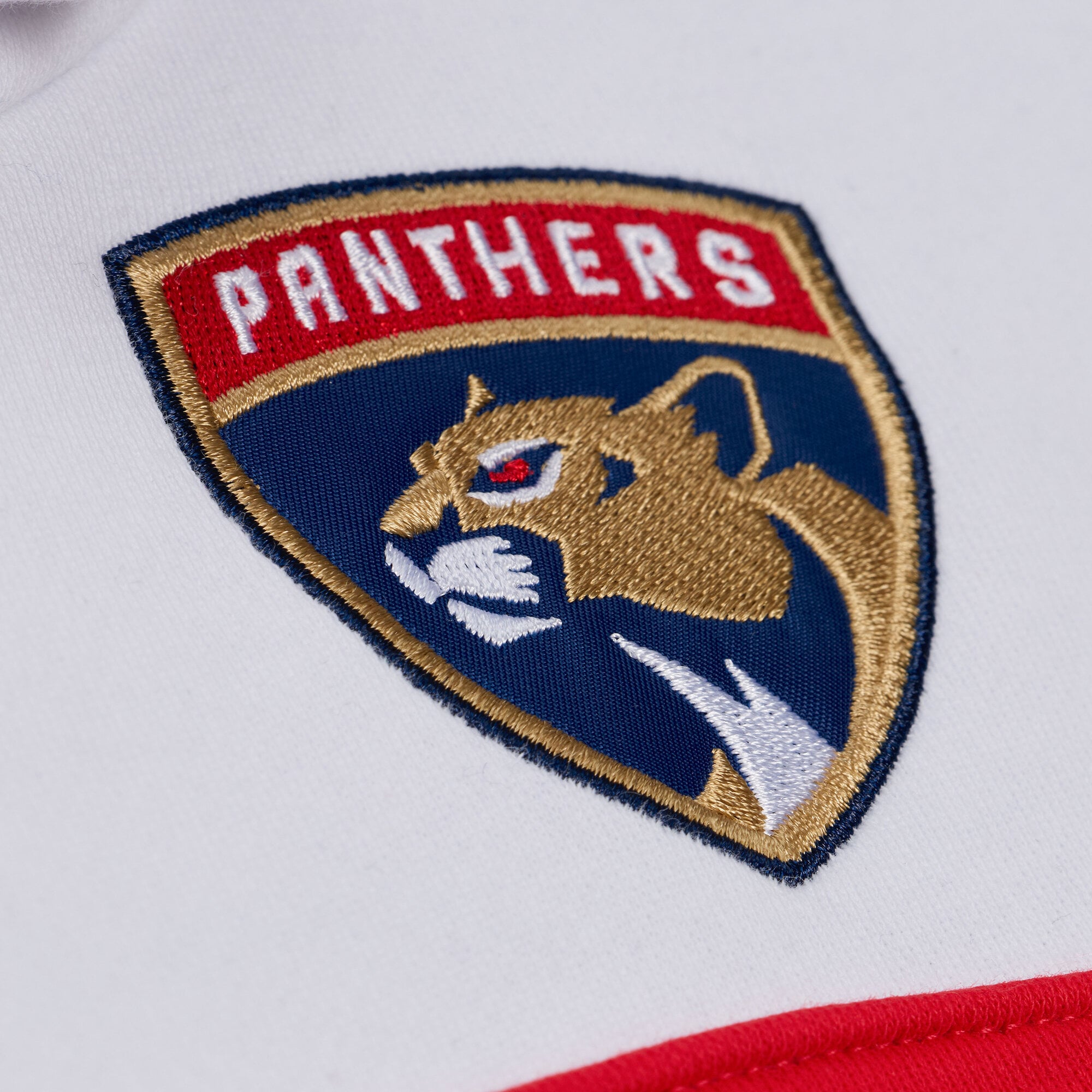 Sweat à capuche Mitchell & Ness bleu marine pour homme, modèle entraîneur-chef des Panthers de la Floride