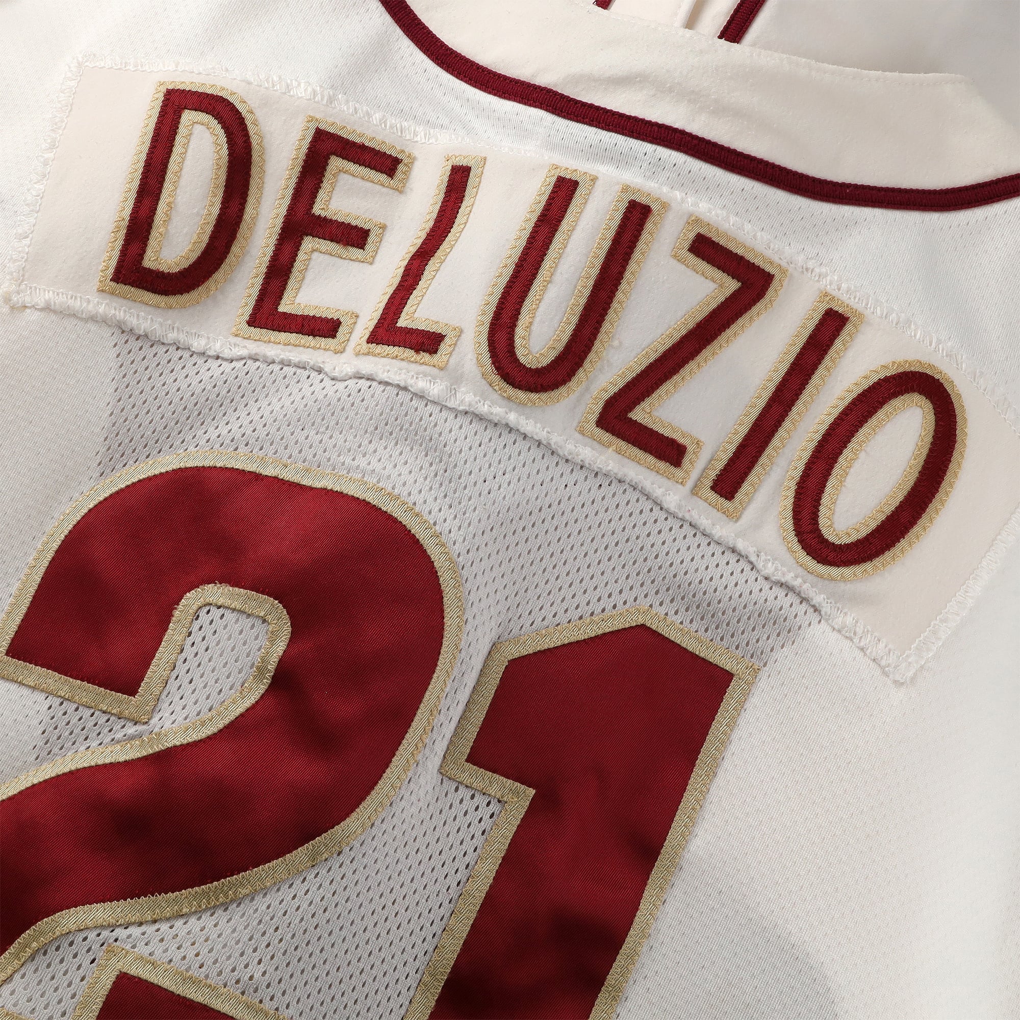 Ben Deluzio Florida State Seminoles Player-Issued #21 Jersey from the Baseball Program