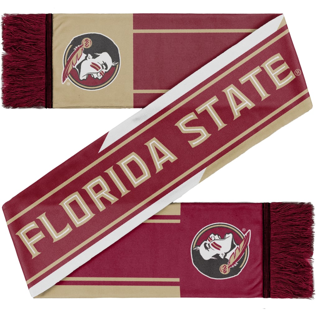 FOCO Florida State Seminoles Color Wave Wordmark Scarf
