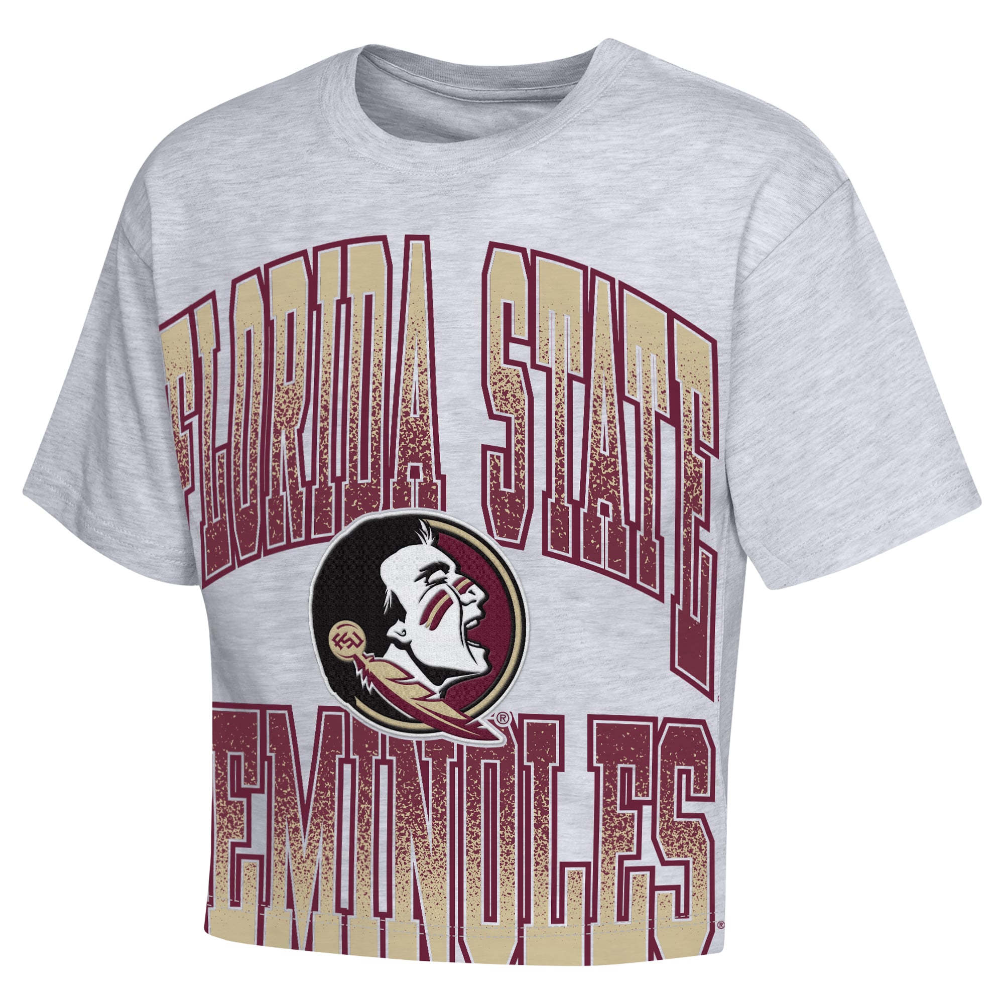 Girls Youth Outerstuff Heather Gray Florida State Seminoles Big Team Energy Cropped Boxy T-Shirt