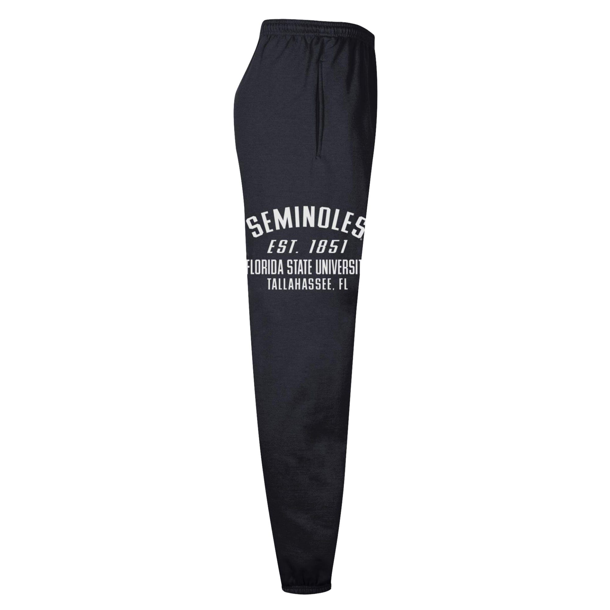 Men's Champion Black Florida State Seminoles Powerblend Banded Fleece Sweatpants