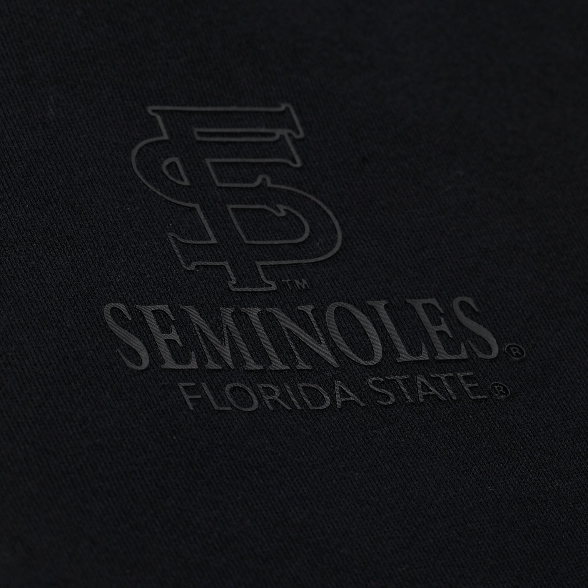 Men's Mitchell & Ness  Black Florida State Seminoles Monochrome Icon Fleece Hoodie