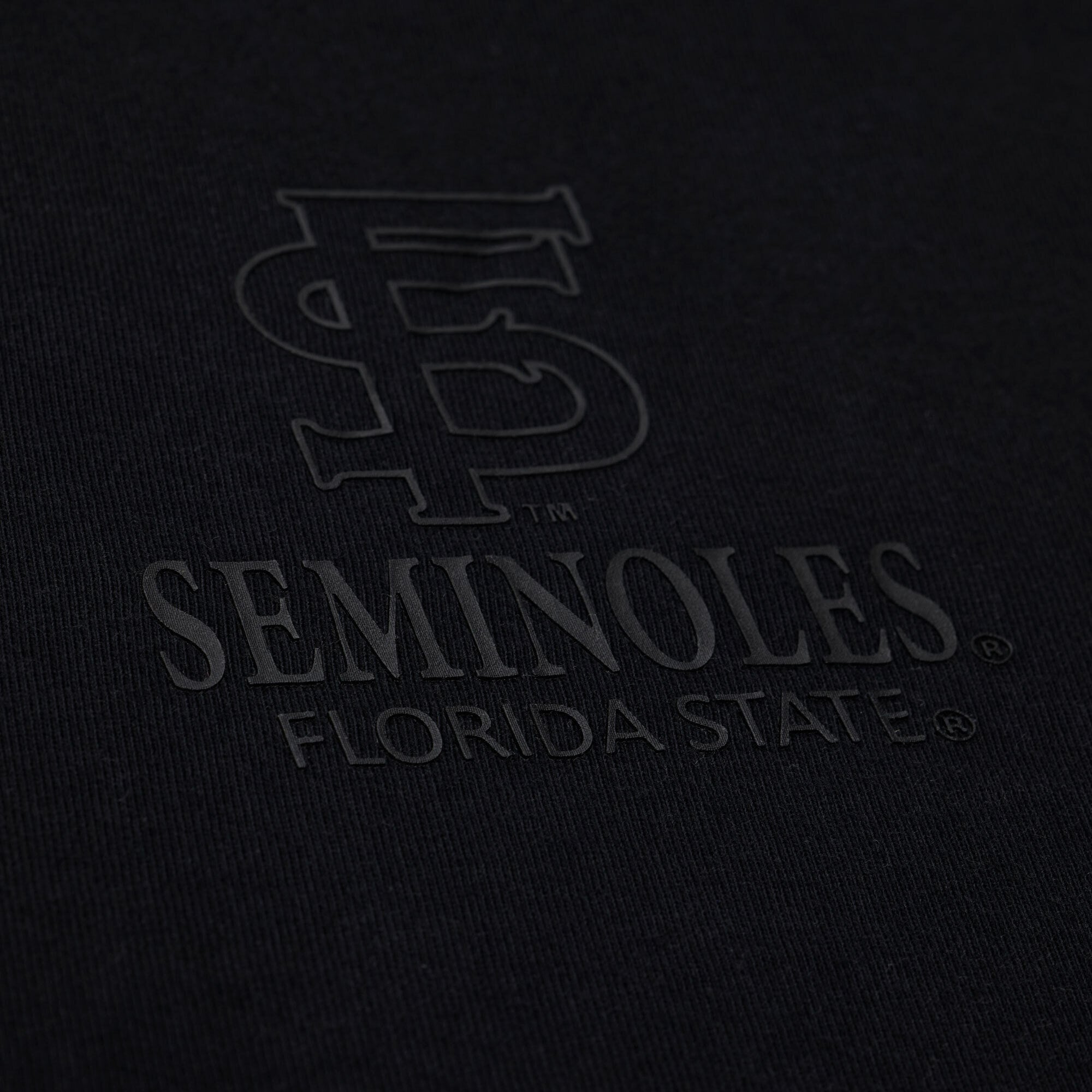Men's Mitchell & Ness  Black Florida State Seminoles Monochrome Icon T-Shirt