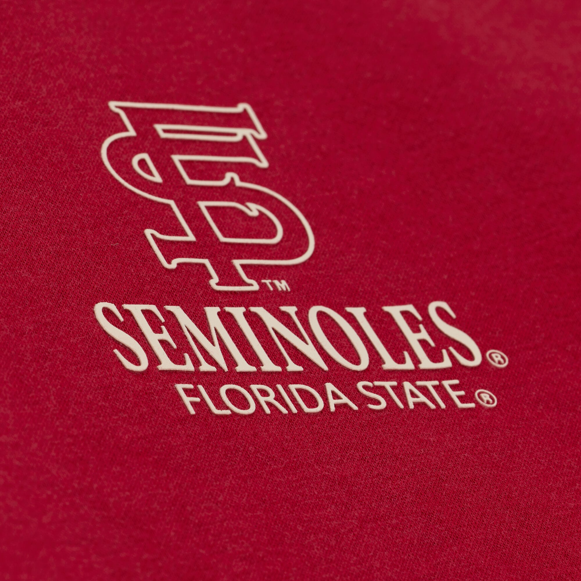 Sweat à capuche en polaire Mitchell & Ness Grenat Florida State Seminoles Core Icon pour homme
