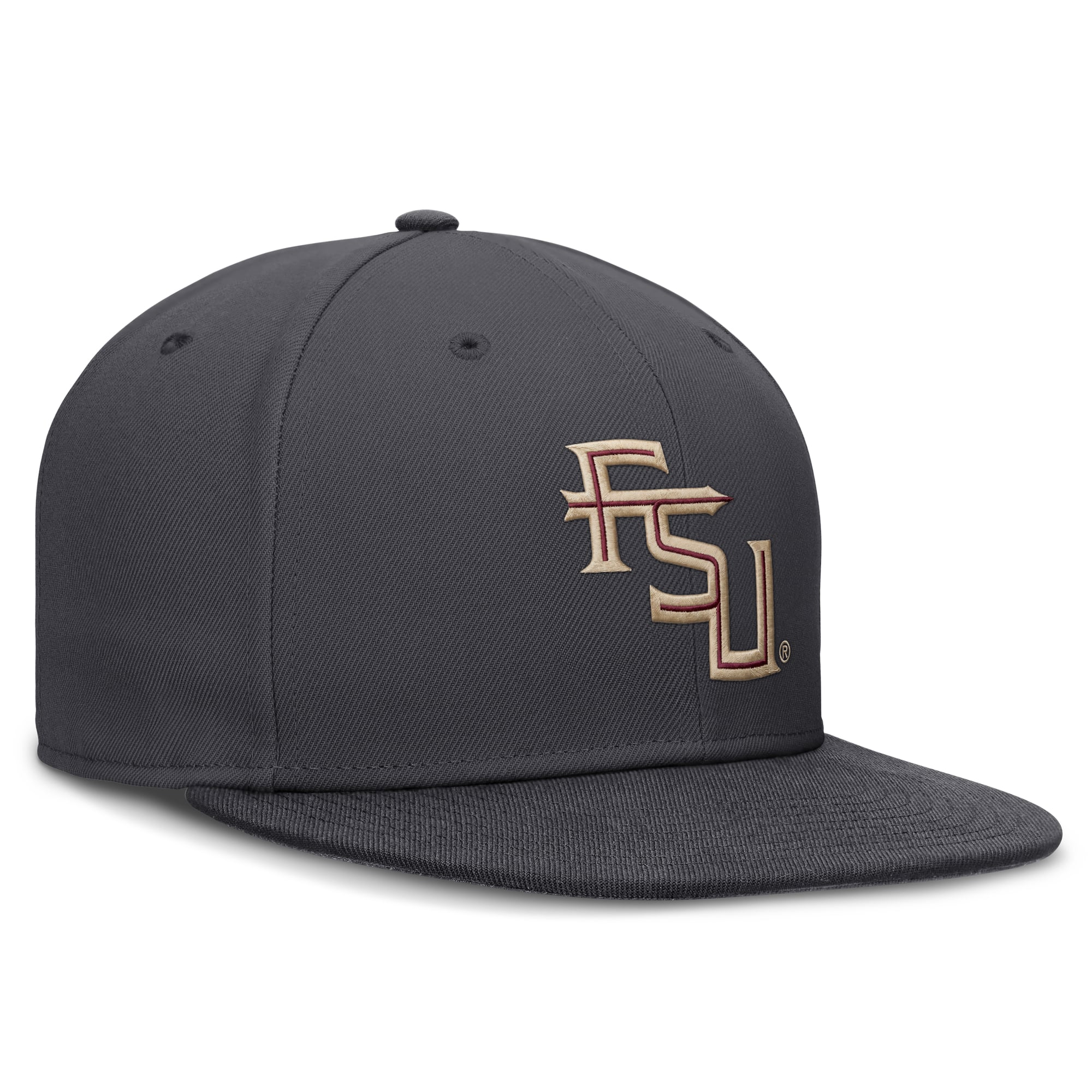 Men's Nike Anthracite Florida State Seminoles Pro Dri-FIT Fitted Hat