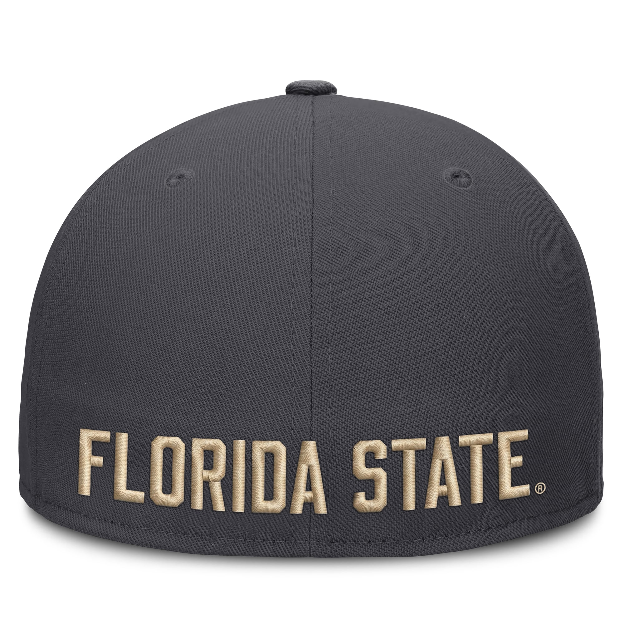 Men's Nike Anthracite Florida State Seminoles Pro Dri-FIT Fitted Hat