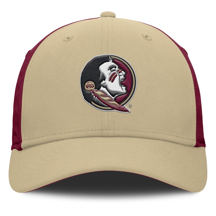 Men's Nike Gold/Garnet Florida State Seminoles 2025 Sideline Rise Local ...