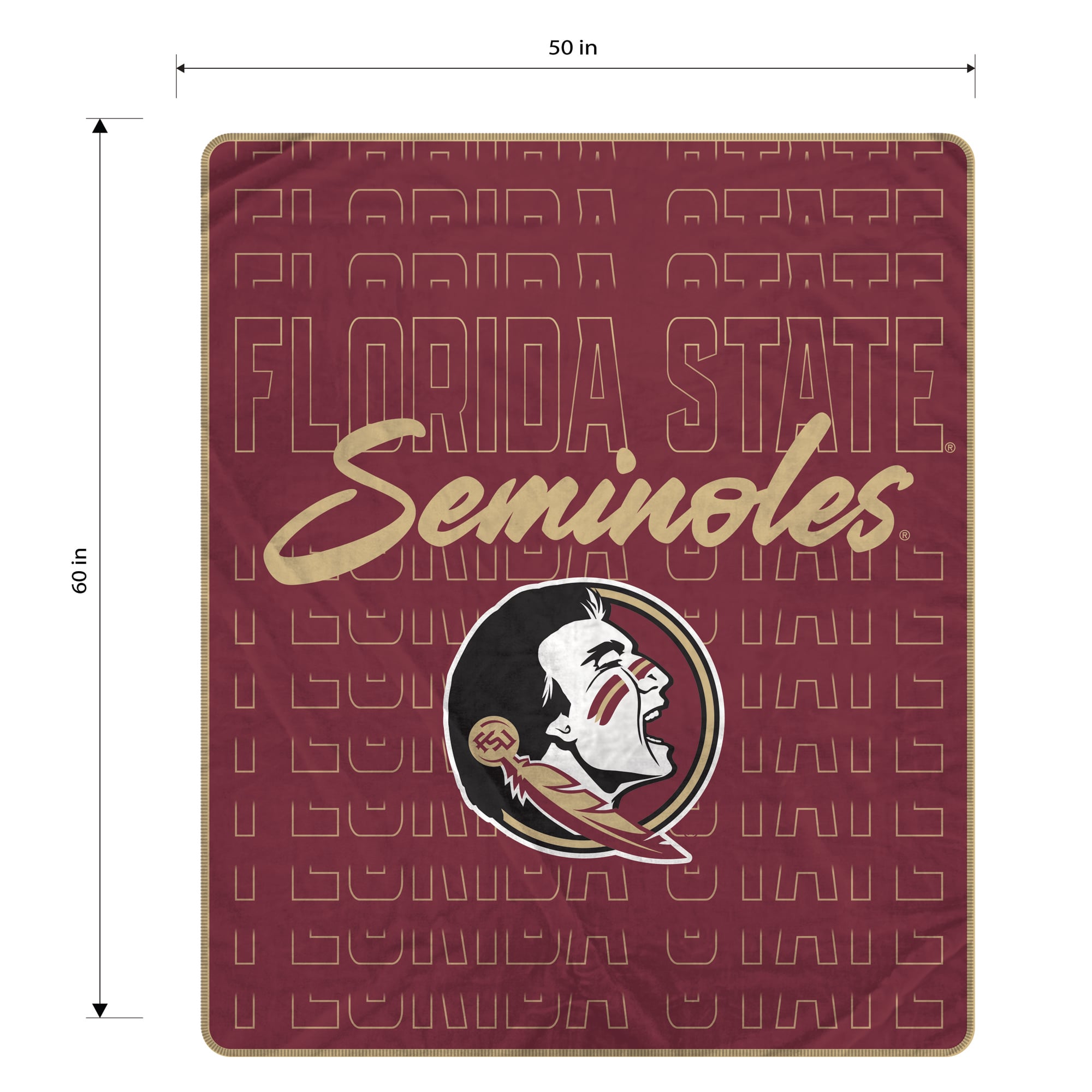 Couverture ultra douce Pegasus Florida State Seminoles Echo Script Fade 50" x 60"