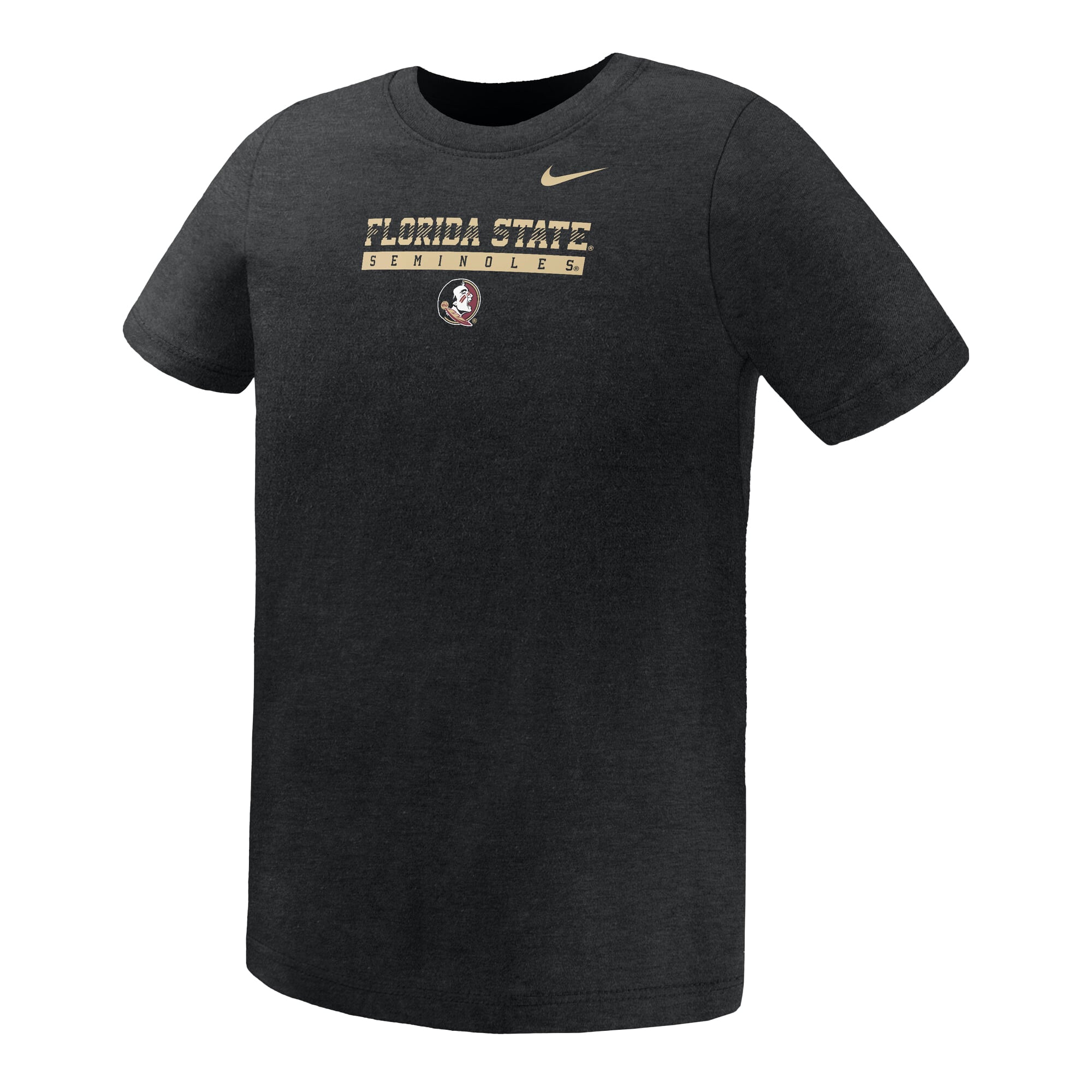 Preschool Nike Black Florida State Seminoles Name Bar Legend Dri-FIT T-Shirt