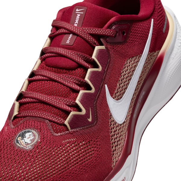 Unisex Nike Garnet Florida State Seminoles Zoom Pegasus 41  display picture 3