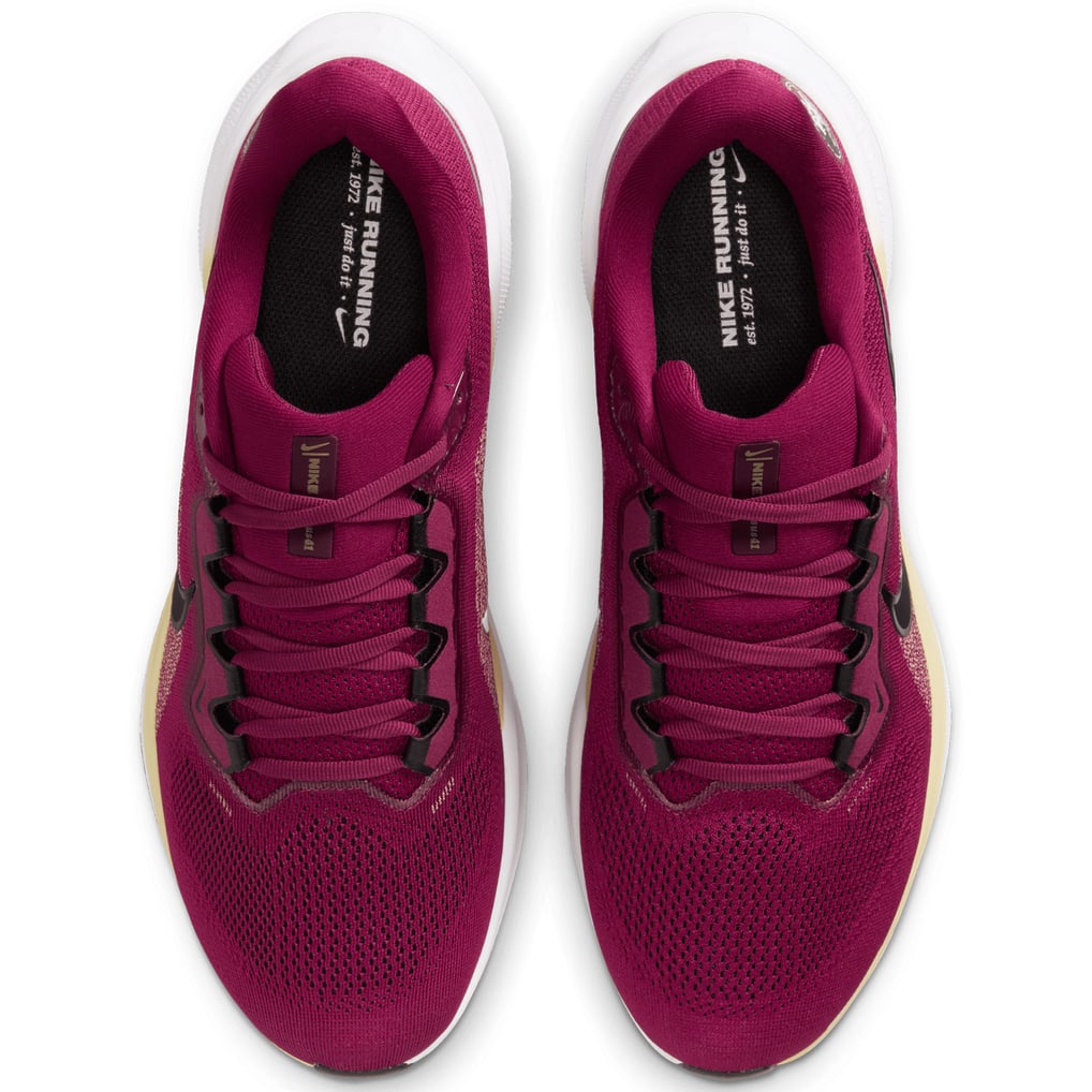 Unisex Nike Garnet Florida State Seminoles Zoom Pegasus 41  display picture 2