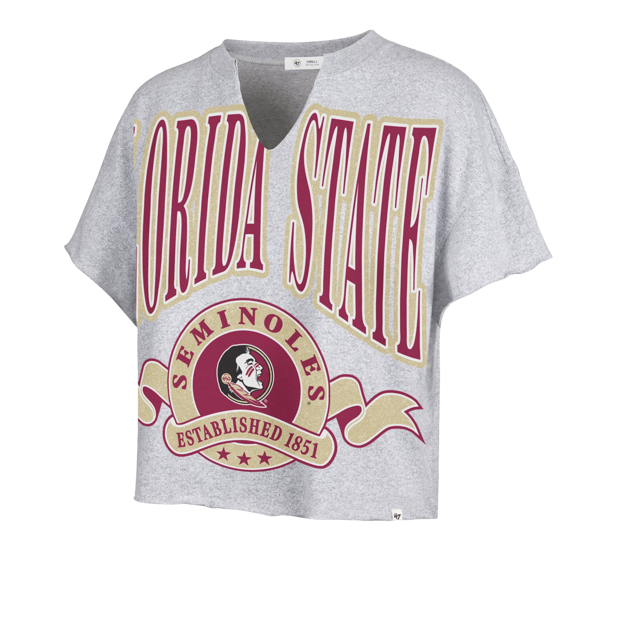Women's '47 Gray Florida State Seminoles Banners Out Oversized Notch-Neck T-Shirt