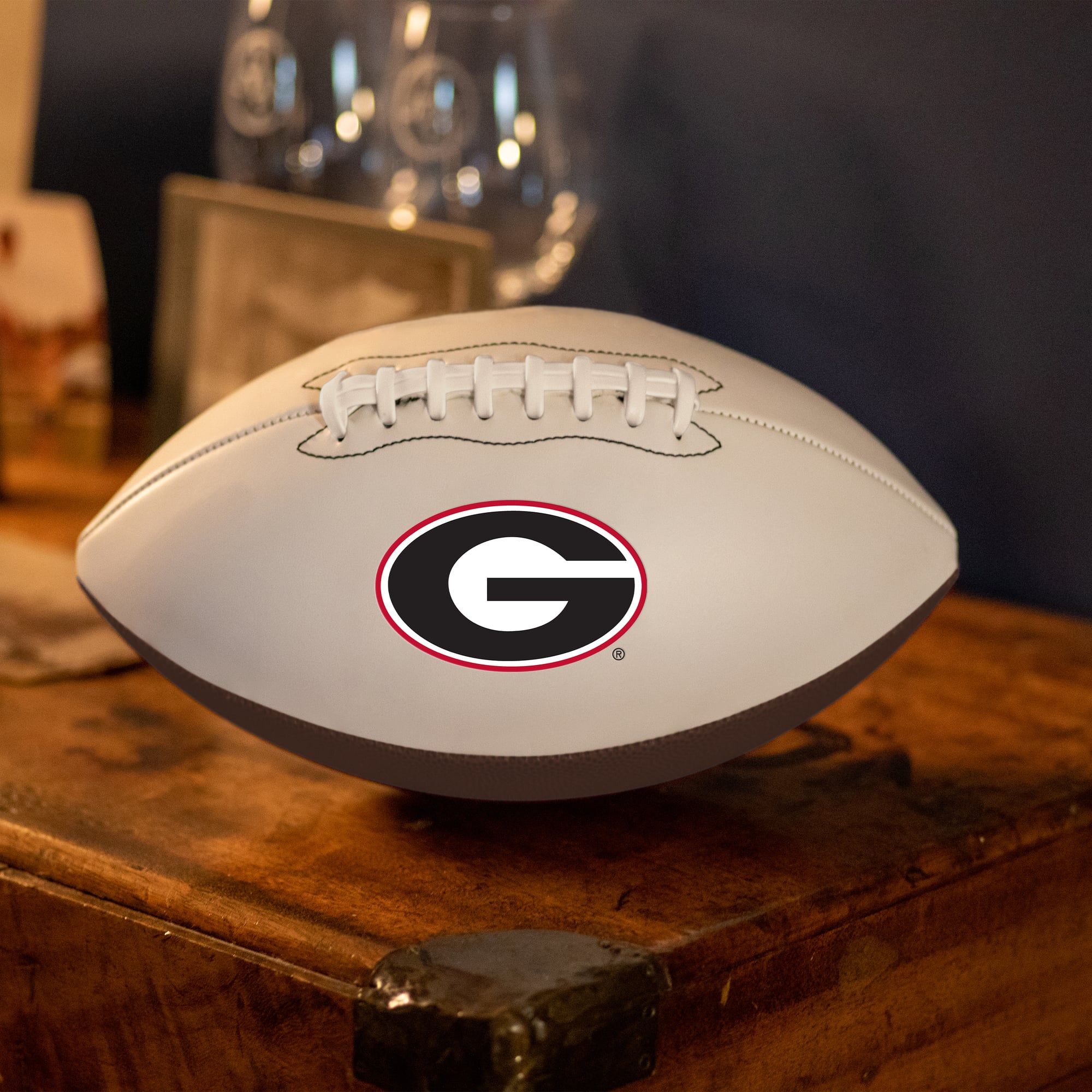 Georgia Bulldogs Official Size Logo Autograph Football