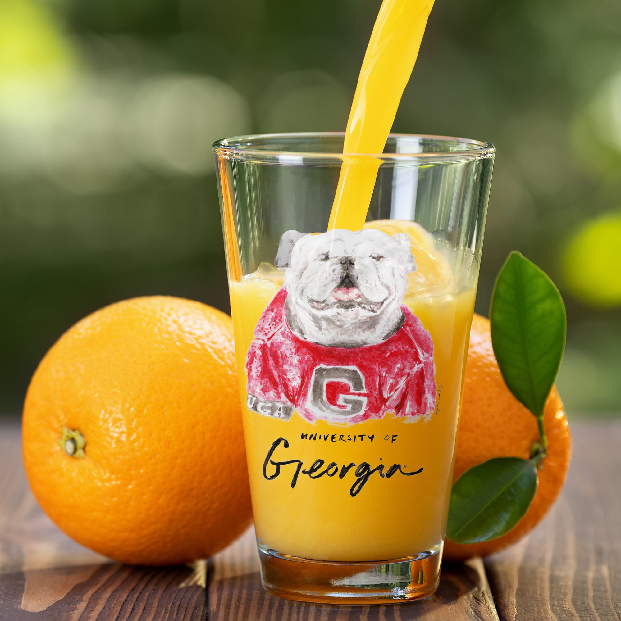 Ensemble de 2 verres à bière à l'effigie de Laura Wilcox, mascotte des Georgia Bulldogs d'Indigo Falls