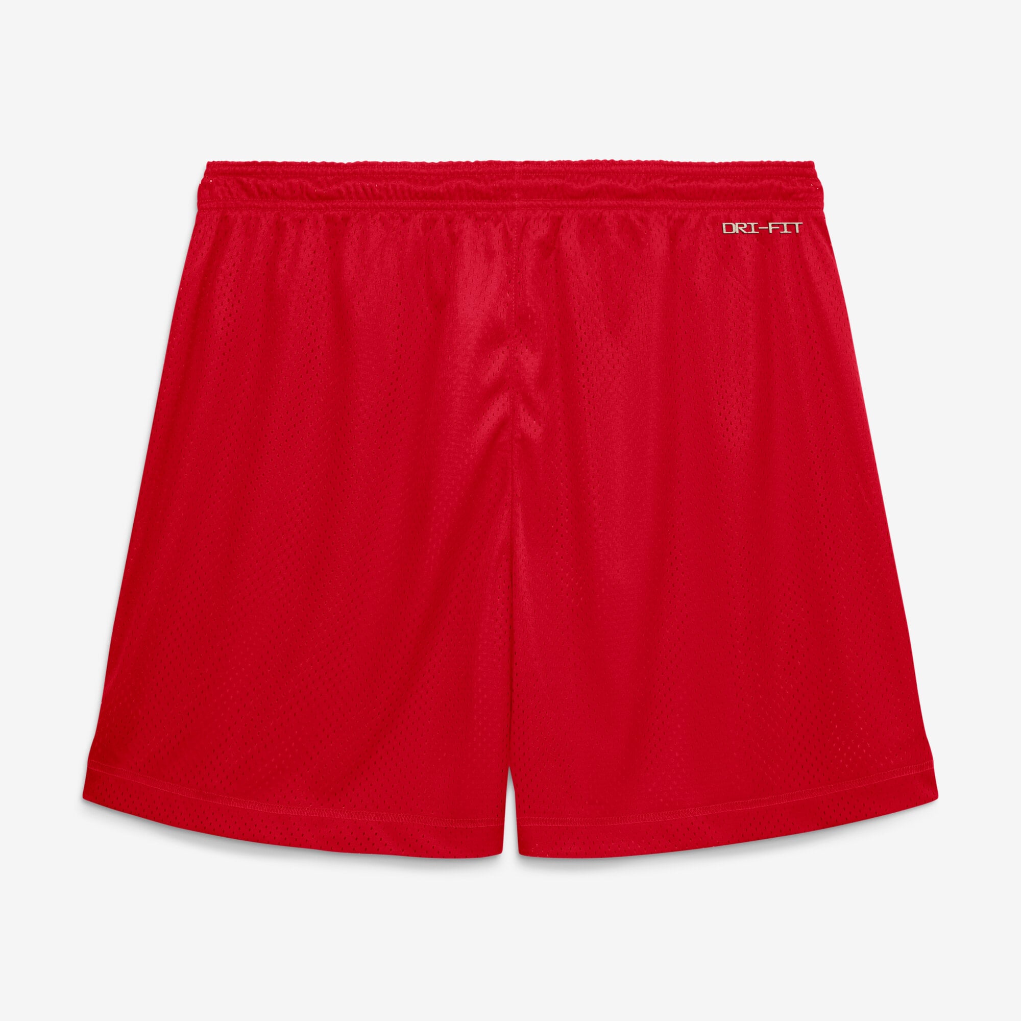 Short réversible Nike Dri-FIT rouge/anthracite Georgia Bulldogs 2026 Sideline Standard Issue pour homme