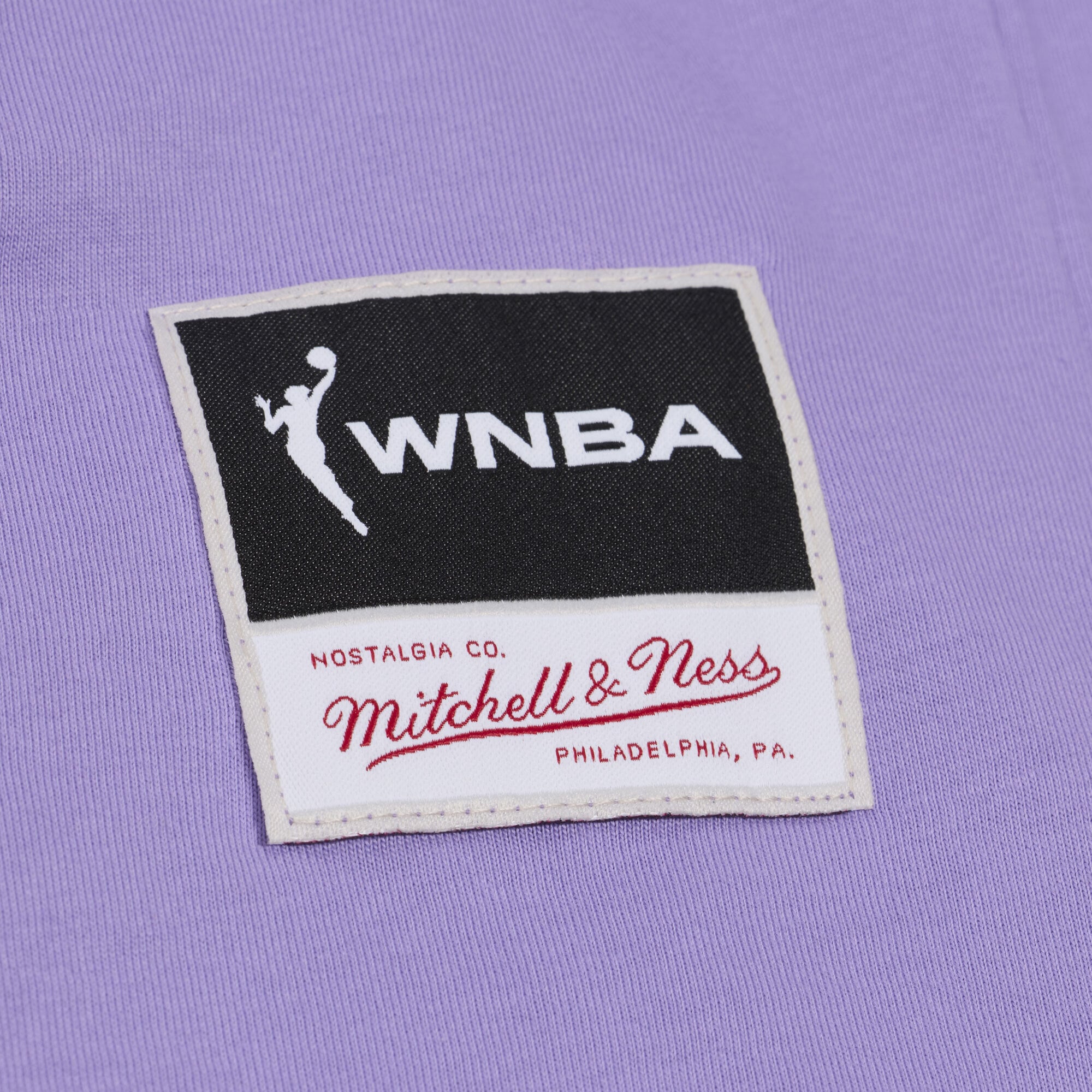 Men's Mitchell & Ness Purple Golden State Valkyries Logo Boxy T-Shirt