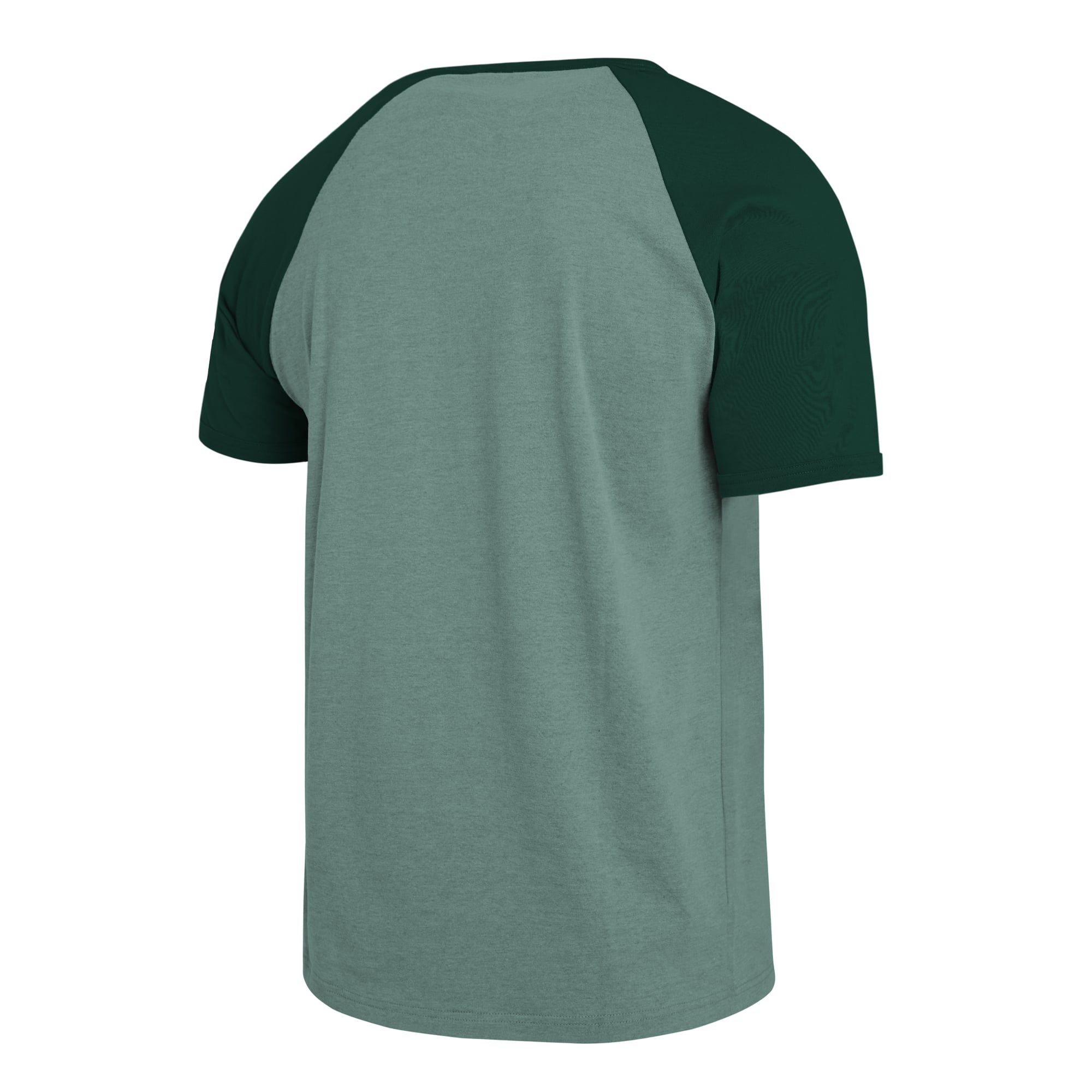 T-shirt raglan vert Green Bay Packers de la collection Darius Rucker pour homme par Fanatics