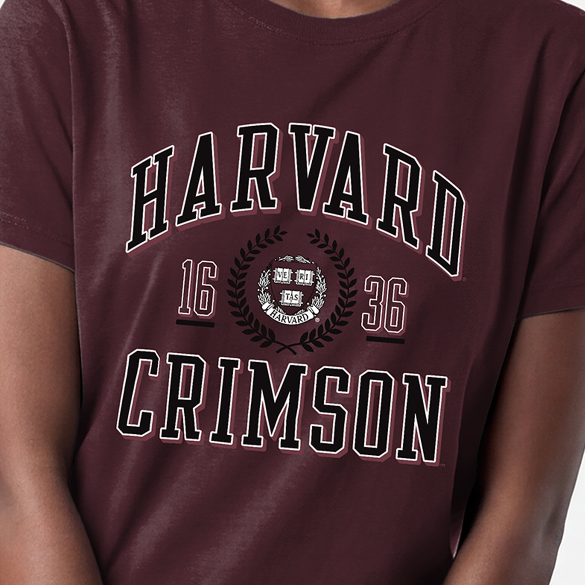 Women's Champion Crimson Harvard Lifestyle T-Shirt