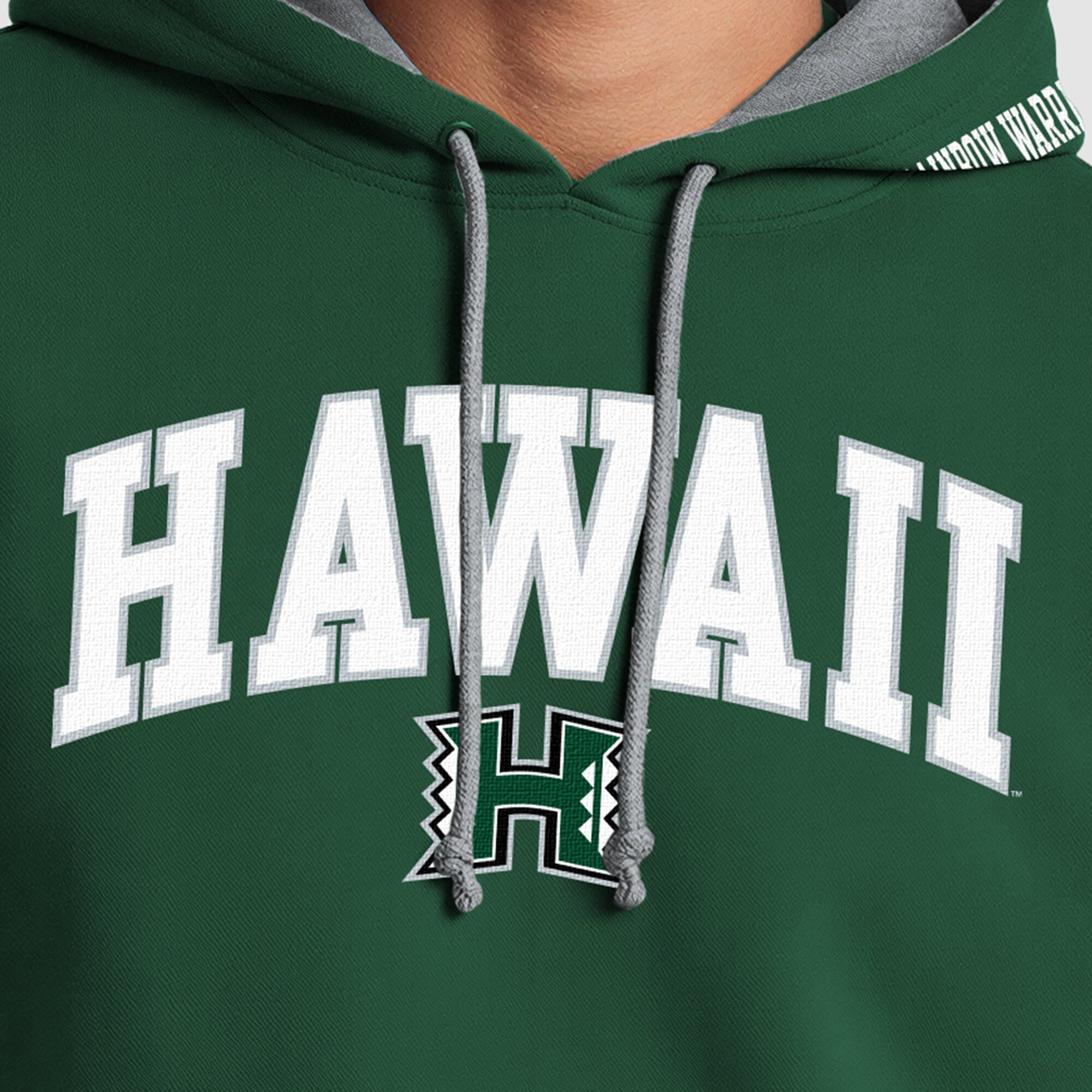 Sweat à capuche contrasté Champion vert/gris chiné Hawaii Rainbow Warriors pour homme