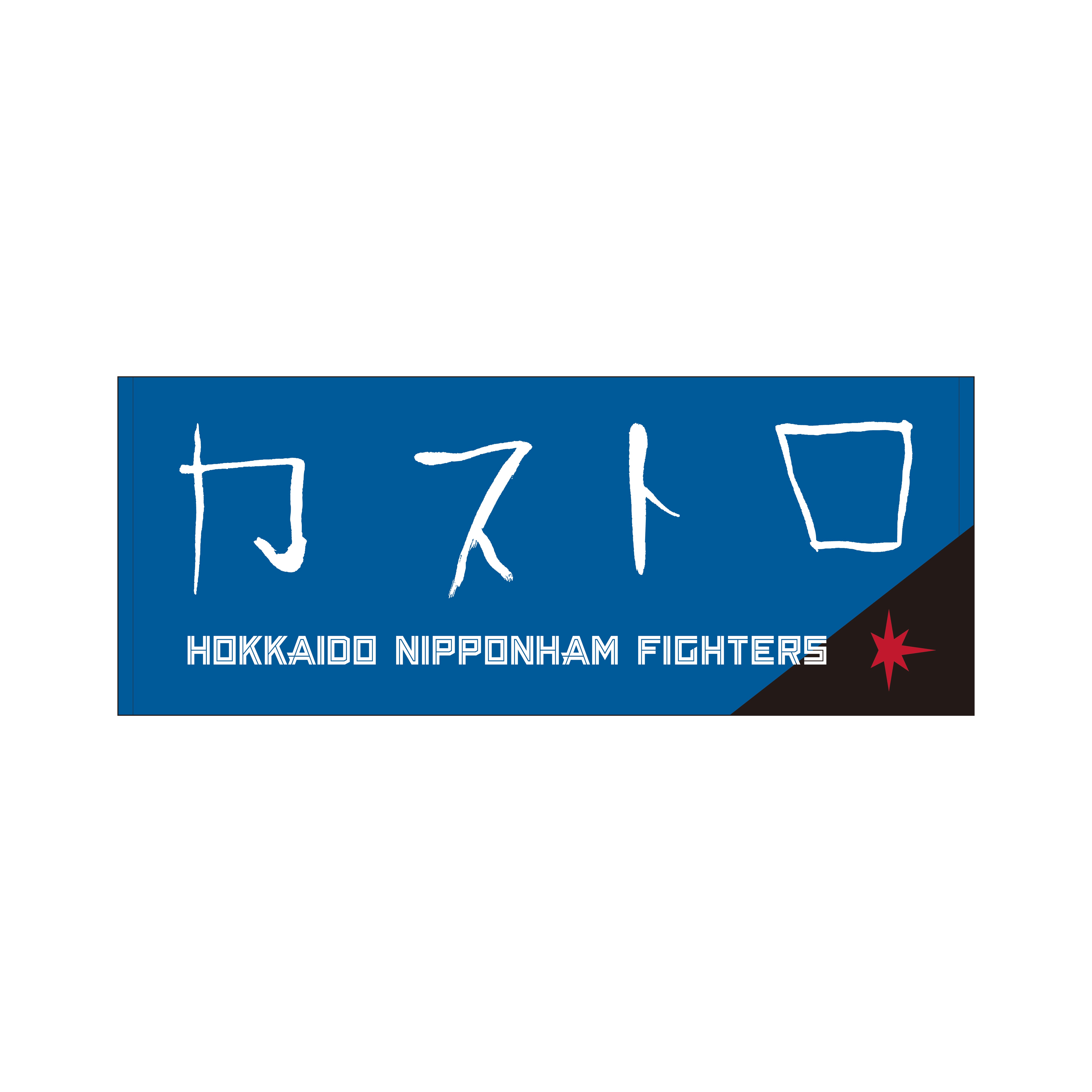 選手直筆応援タオル(ロドルフォ・カストロ #6)