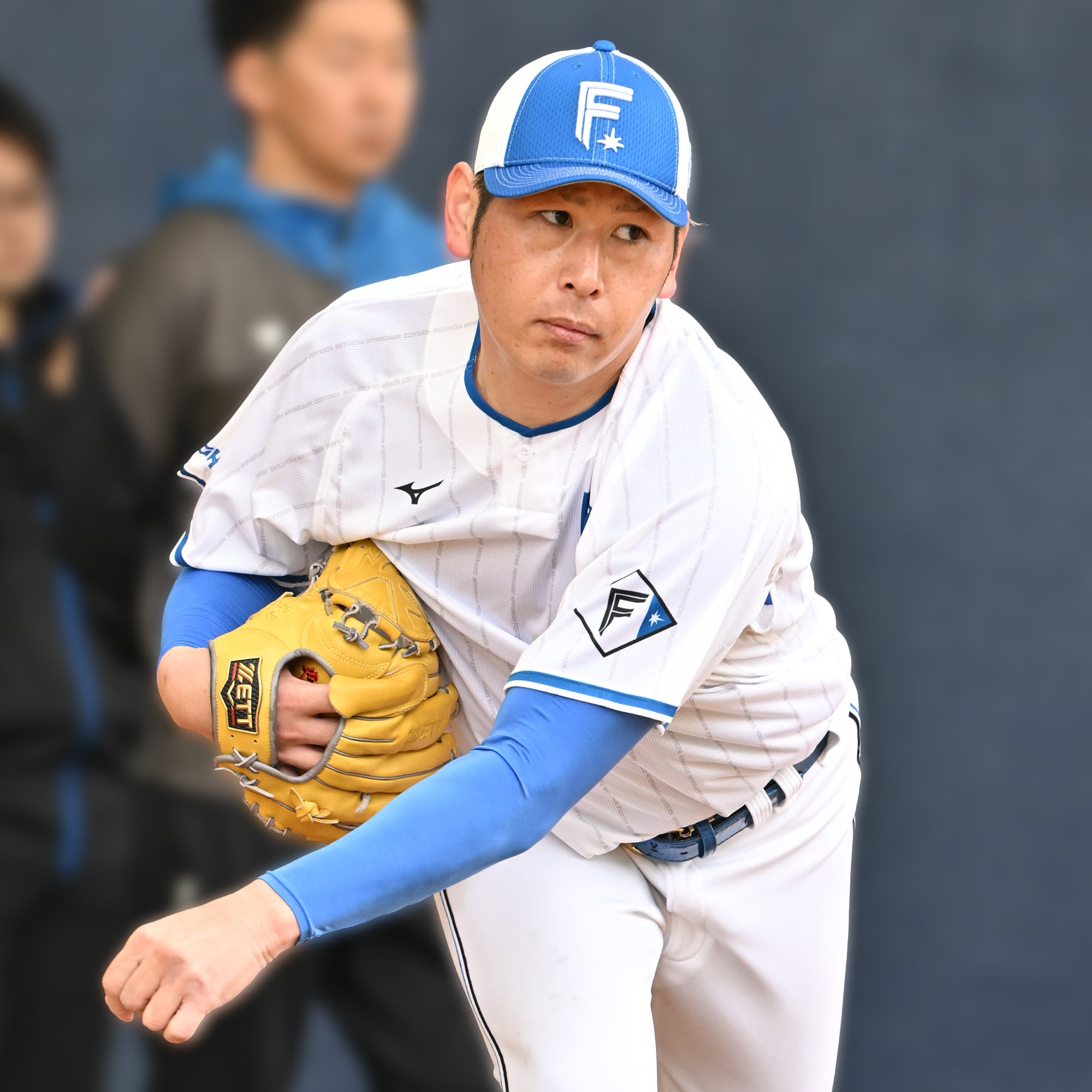 北海道日本ハムファイターズ プラクティスユニフォーム プロ 