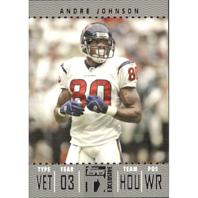 2007 Topps TX Exclusive Silver #60 Andre Johnson