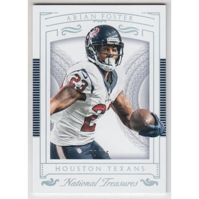 2015 Panini National Treasures Holo Silver #15 Arian Foster