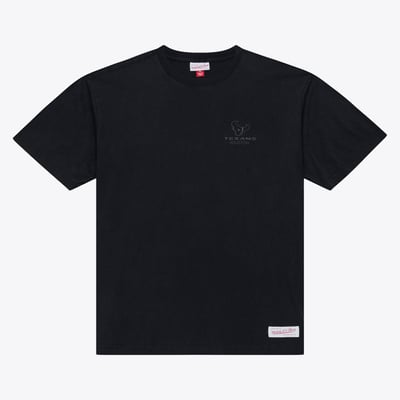 Houston Texans Mitchell & Ness Core Essentials Micro Logo T-Shirt - Black
